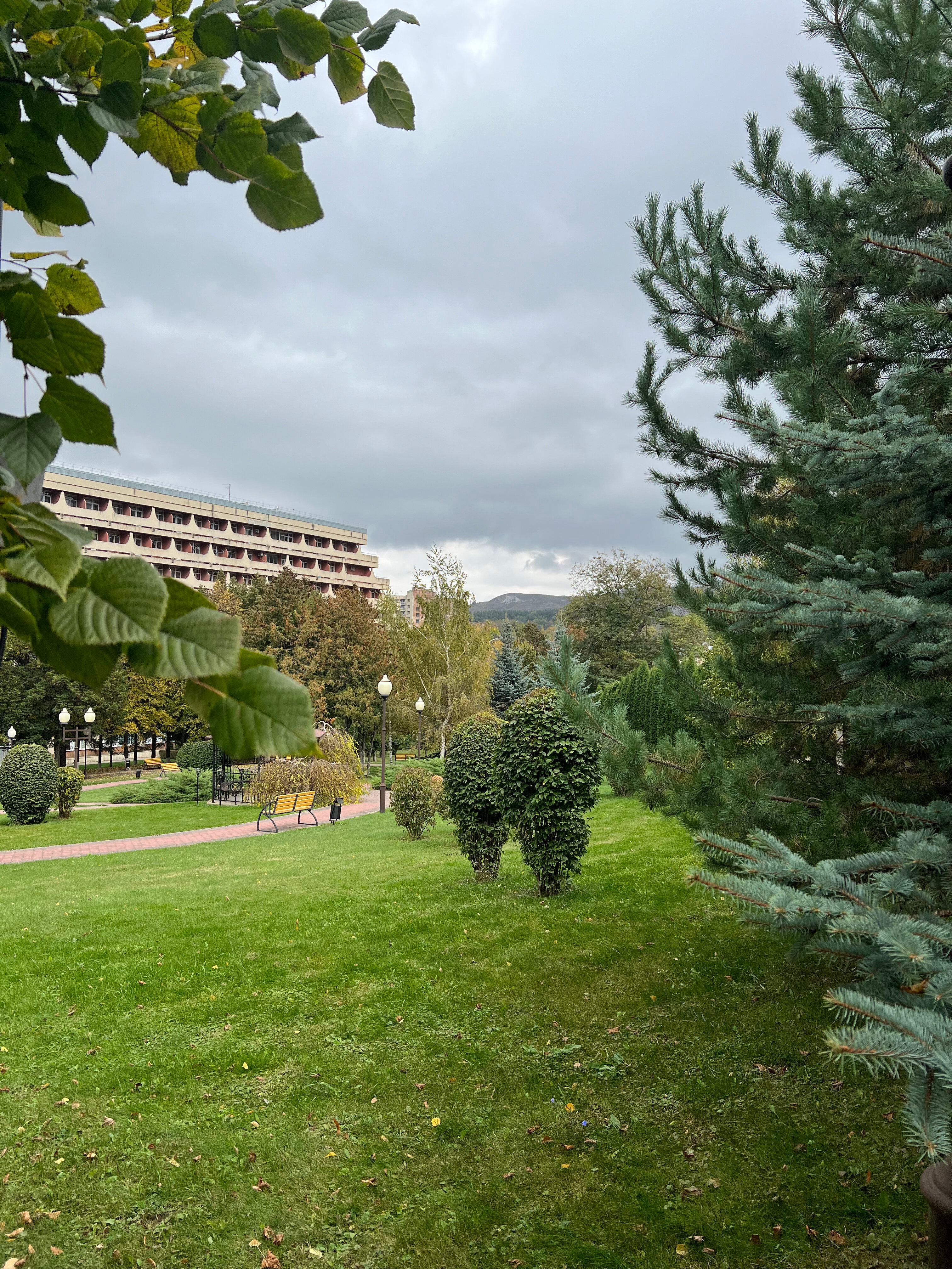 Фото Григ'с