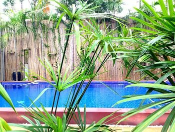 Фото Villa Um Theara - Urban Retreat