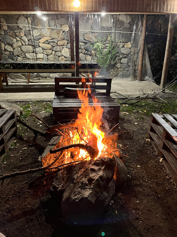 Фото Фруктовый Сад