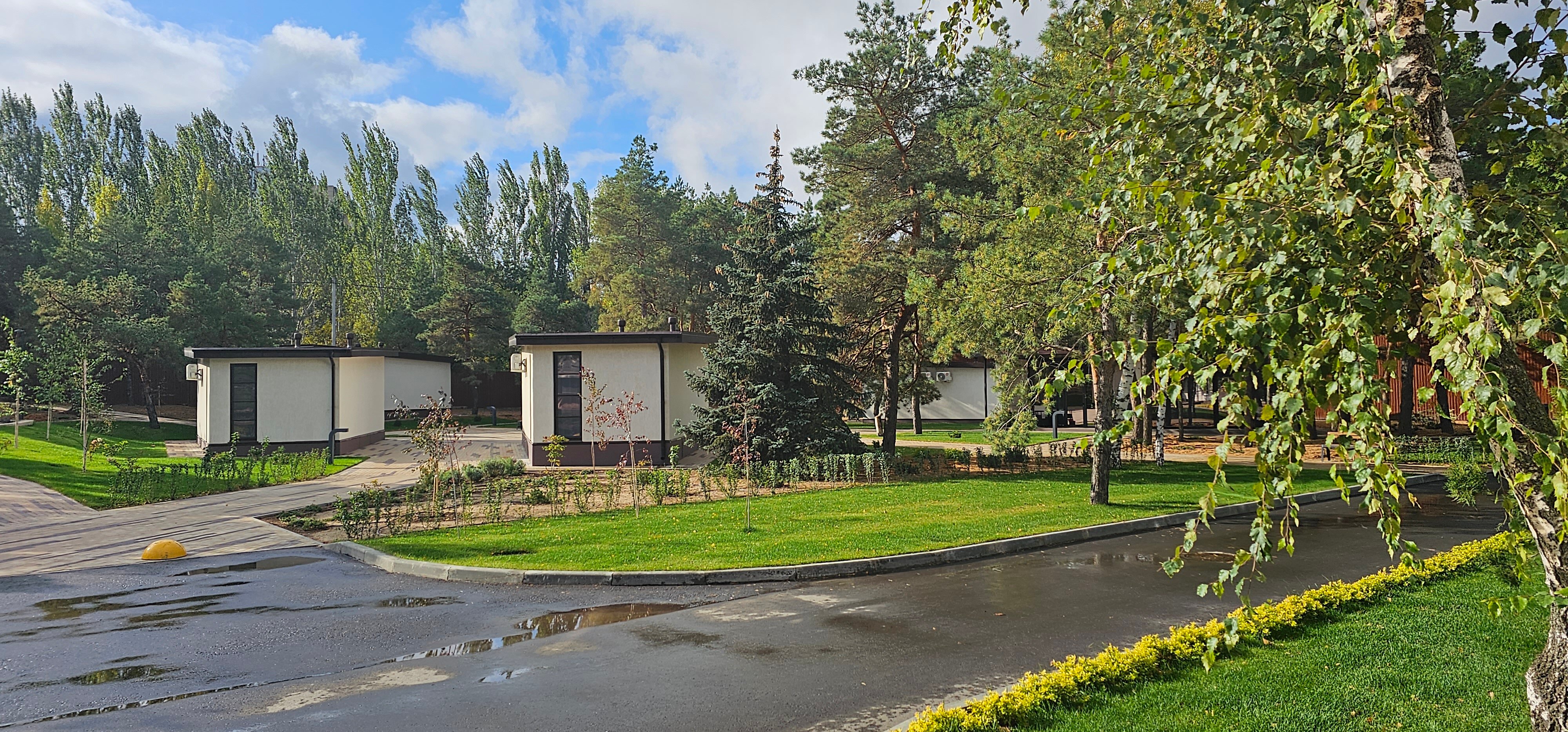 Фото Наша Хвоя