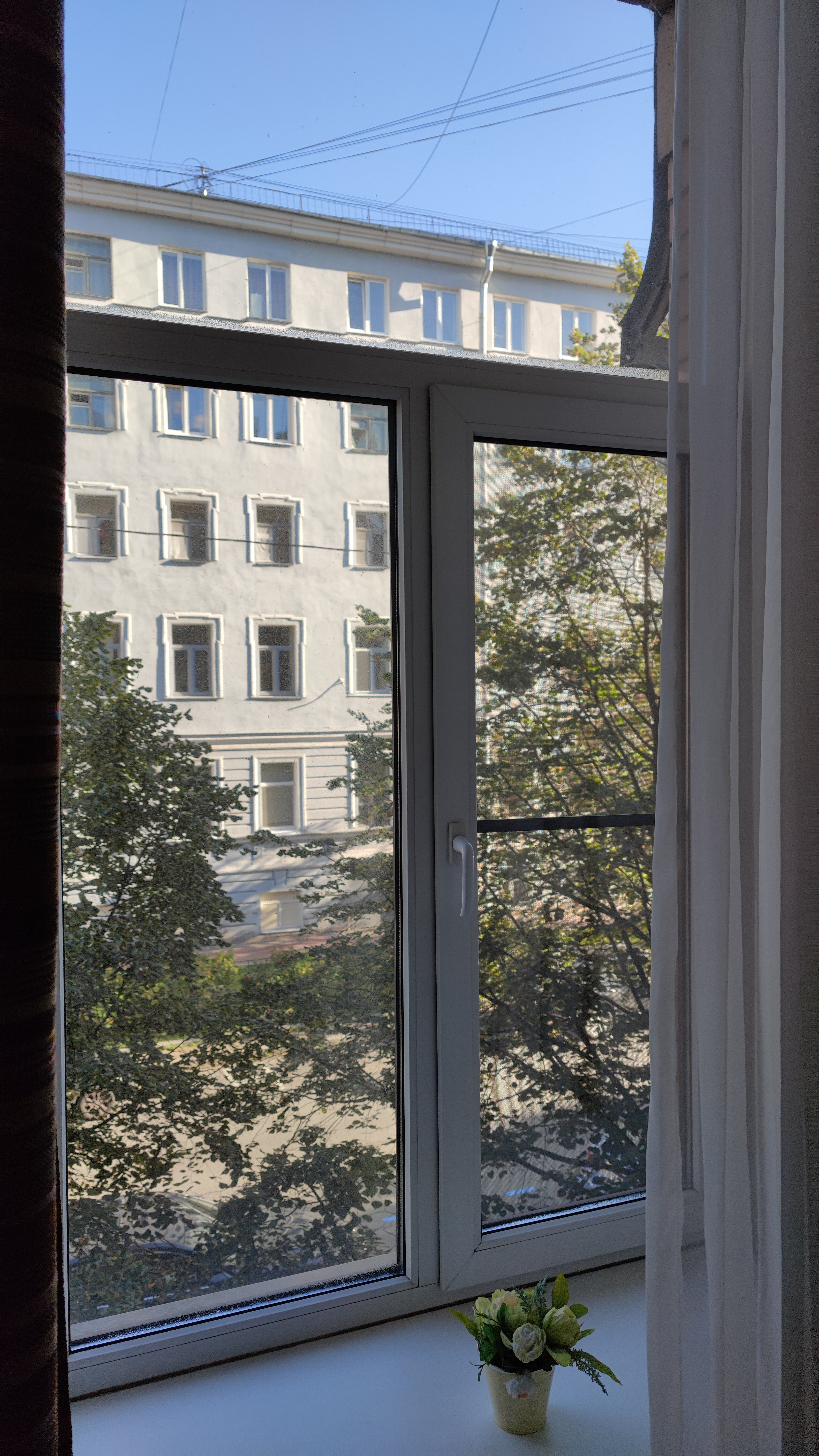 Фото Шелфорт