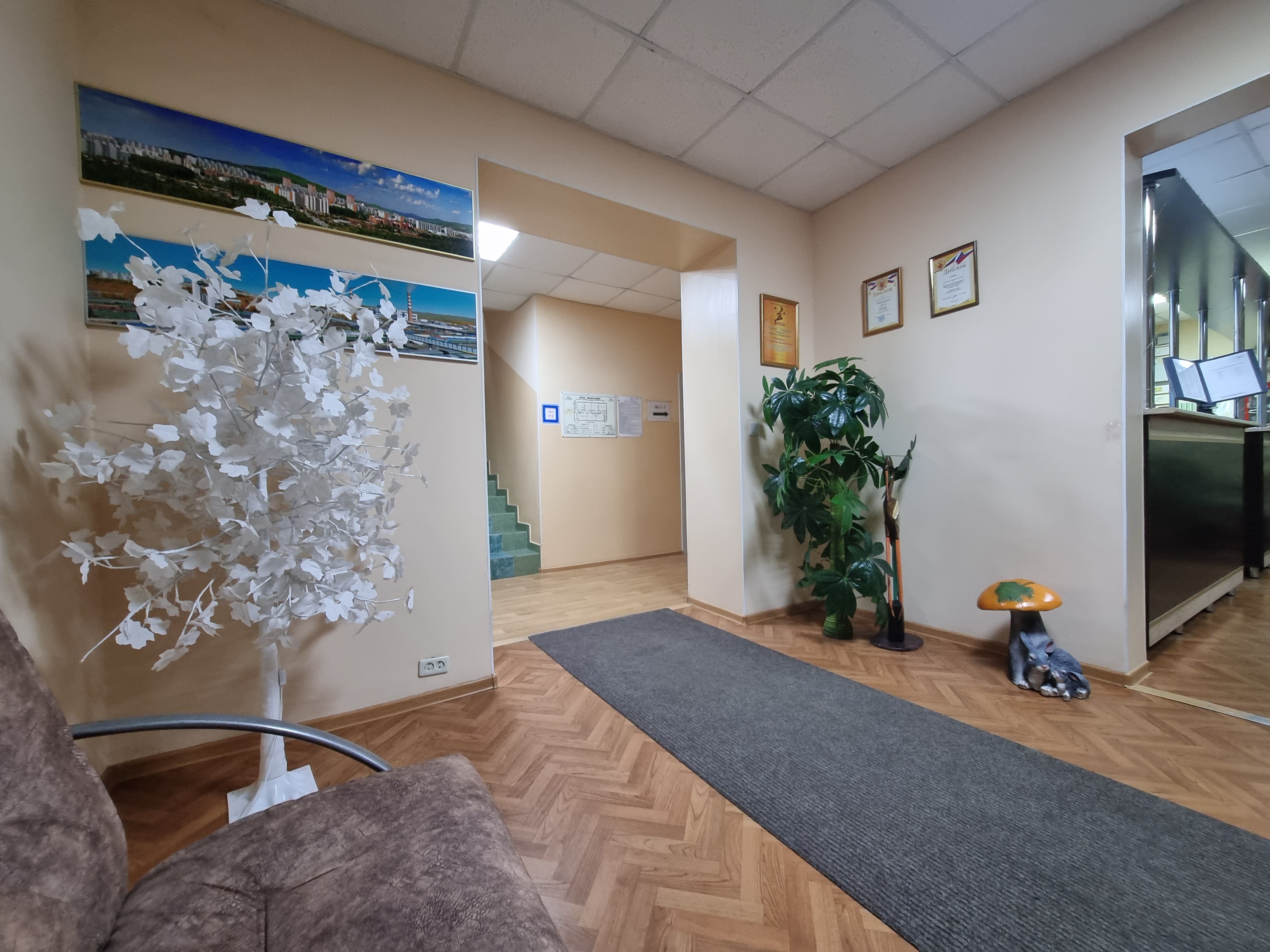 Фото Сафари