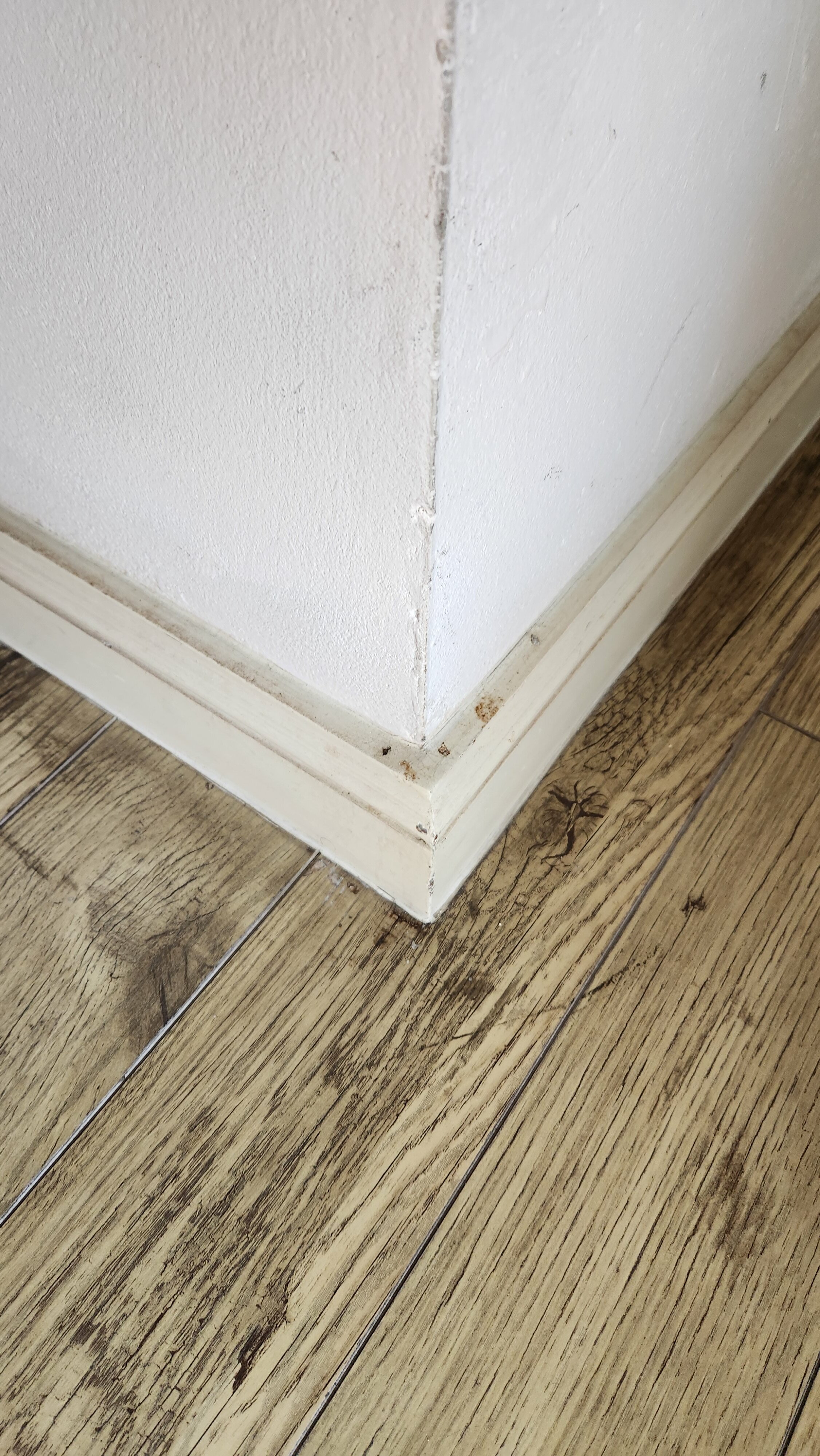 Фото Four Seasons Place