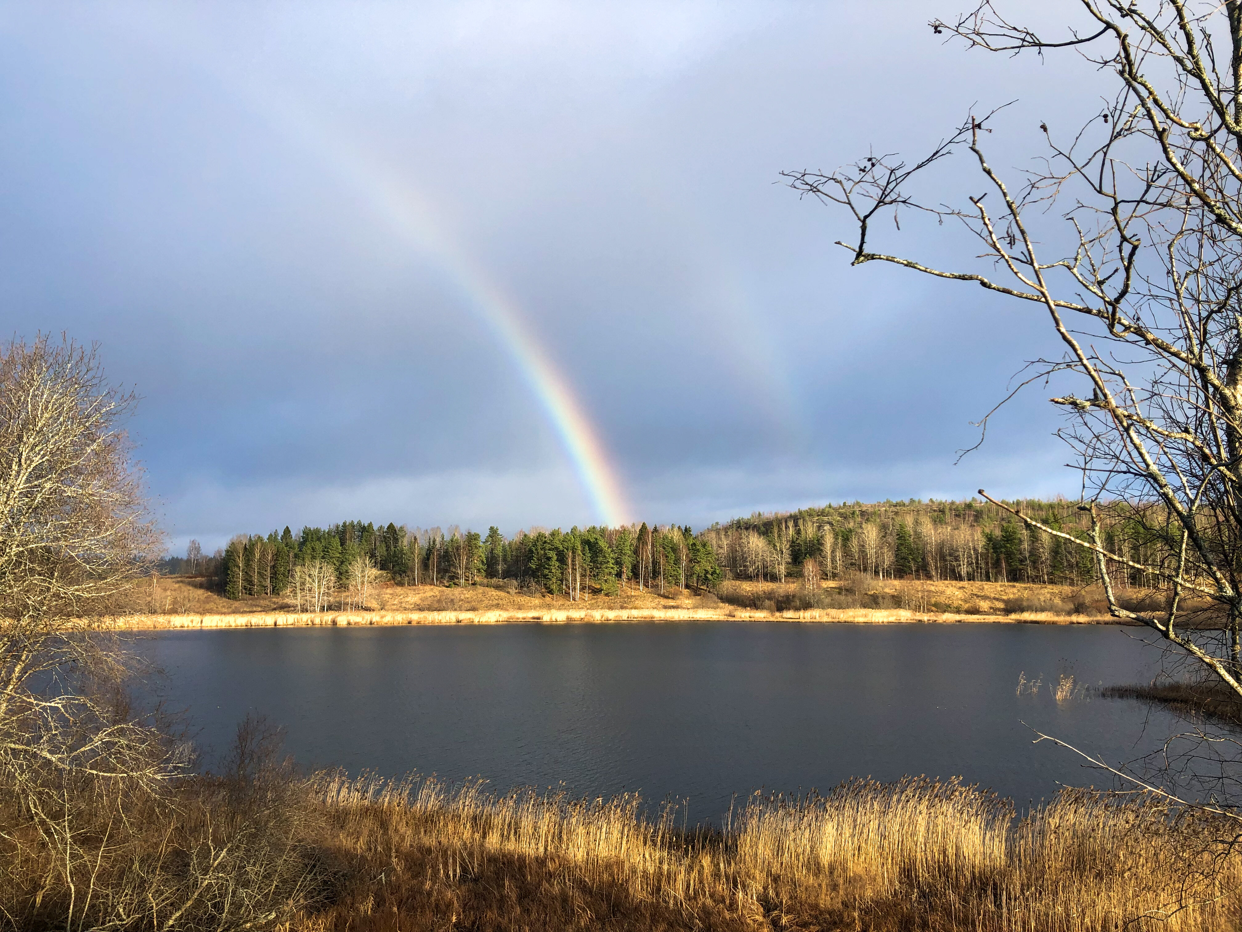 Фото Варёновка