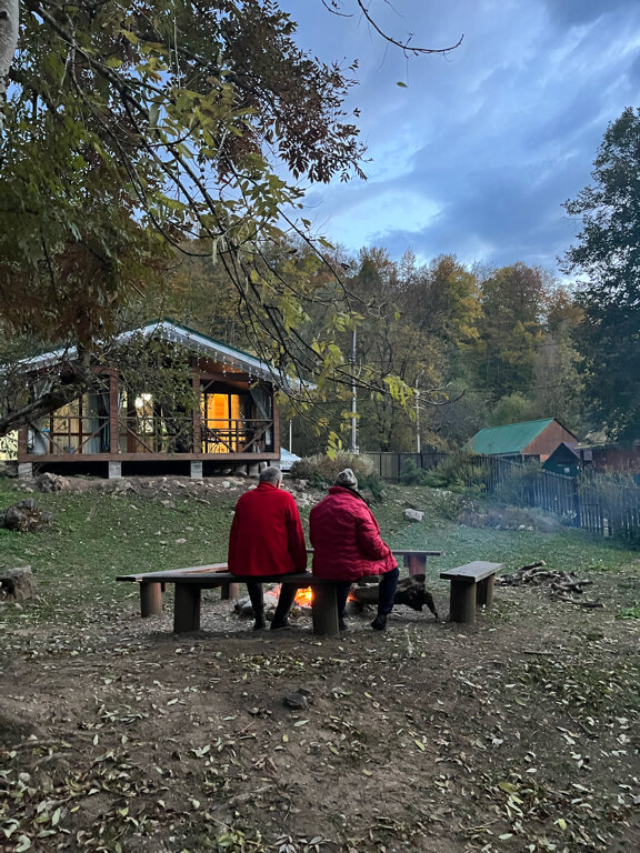 Фото Лесной