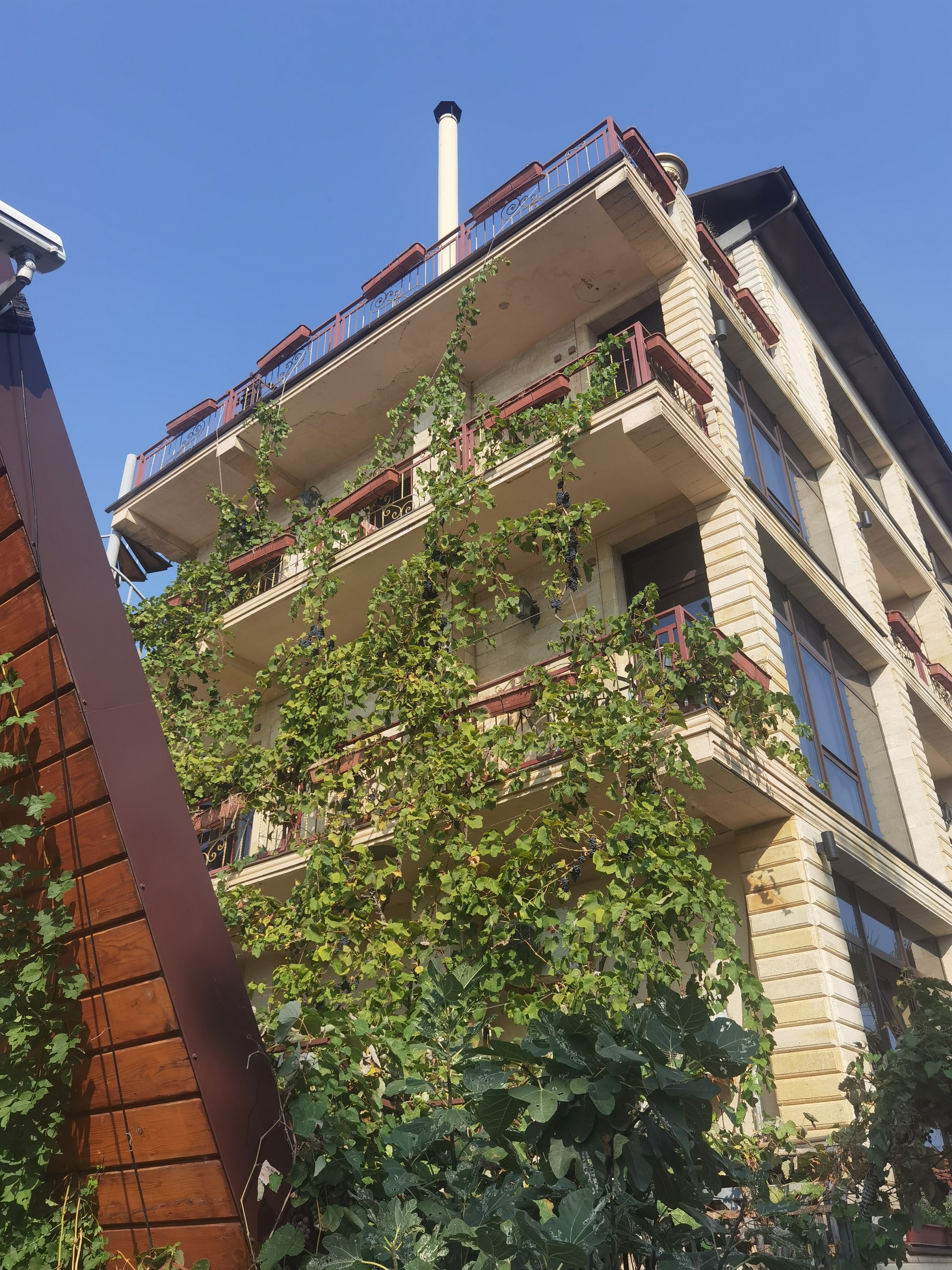 Фото Пуэбло Мохито