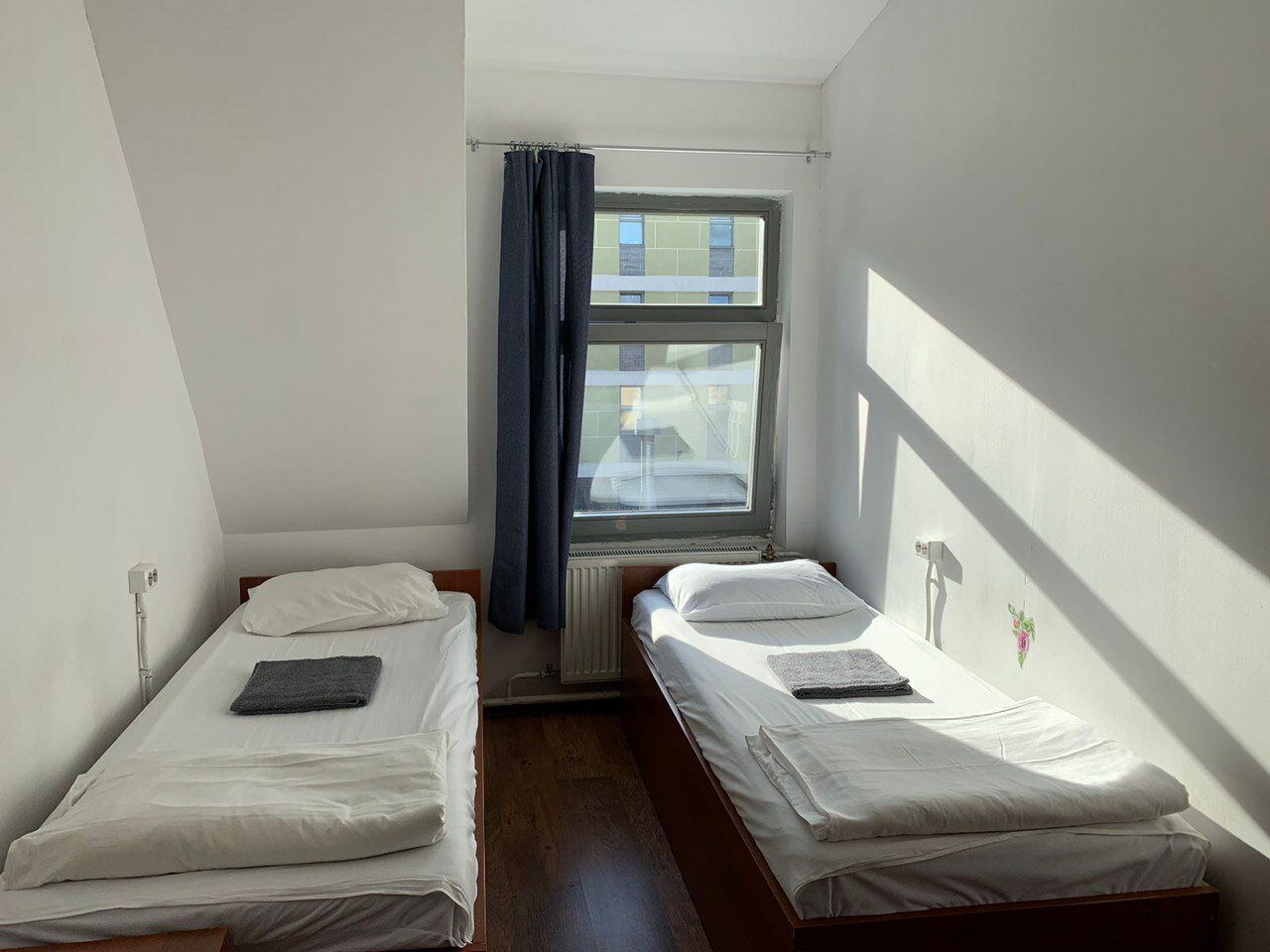 Фото Петя и Волк