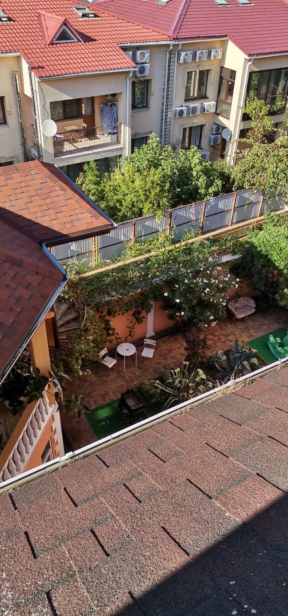 Фото Каллисто