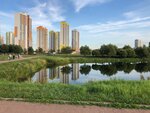 ZhK Sofiya (Saint Petersburg, Yuzhnoe Highway) ، مجمع سكني