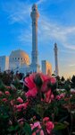 Salam Dagestan (ulitsa Gusayeva, 1) ، وكالة أسفار