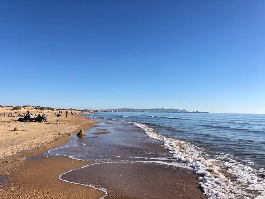 Фото Сиеста