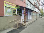 Магазин искусственных цветов (ул. имени В.Г. Рахова, 181, Саратов), искусственные растения и цветы в Саратове