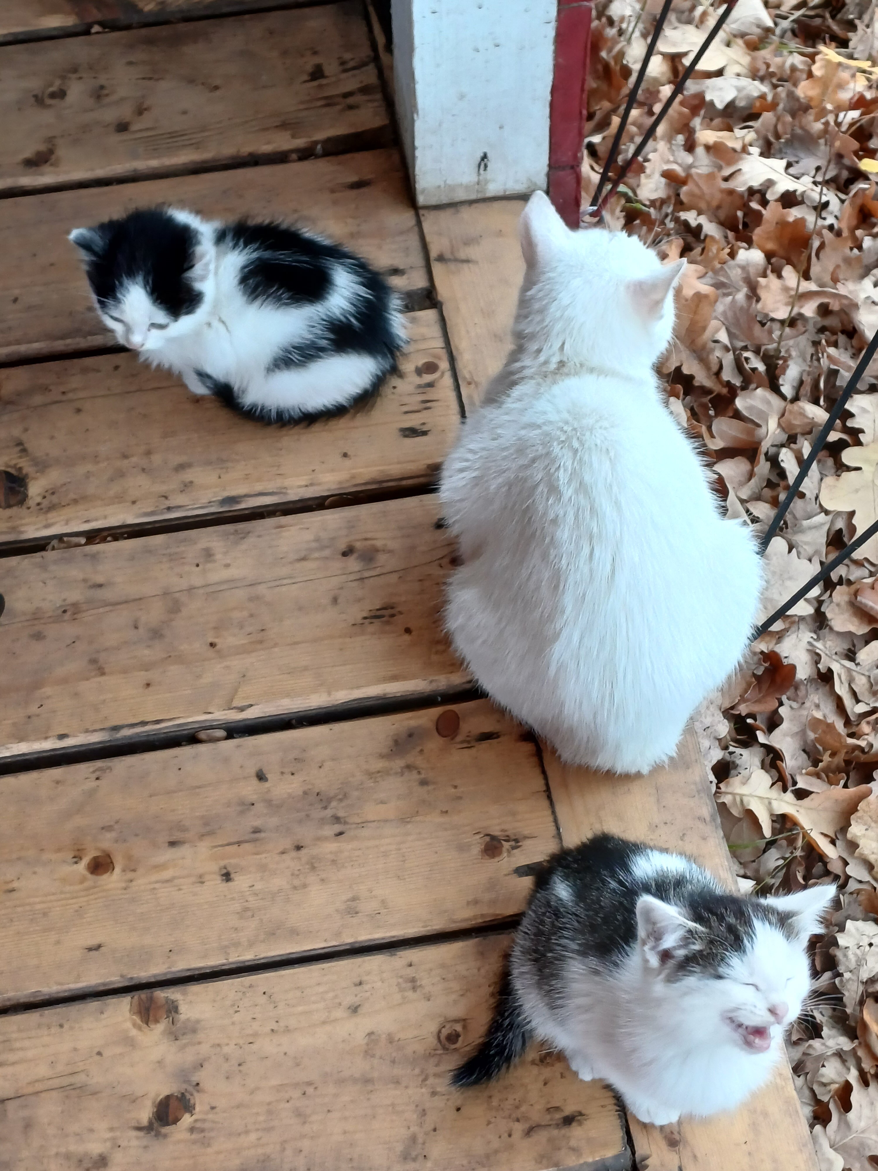 Фото ZeБирск