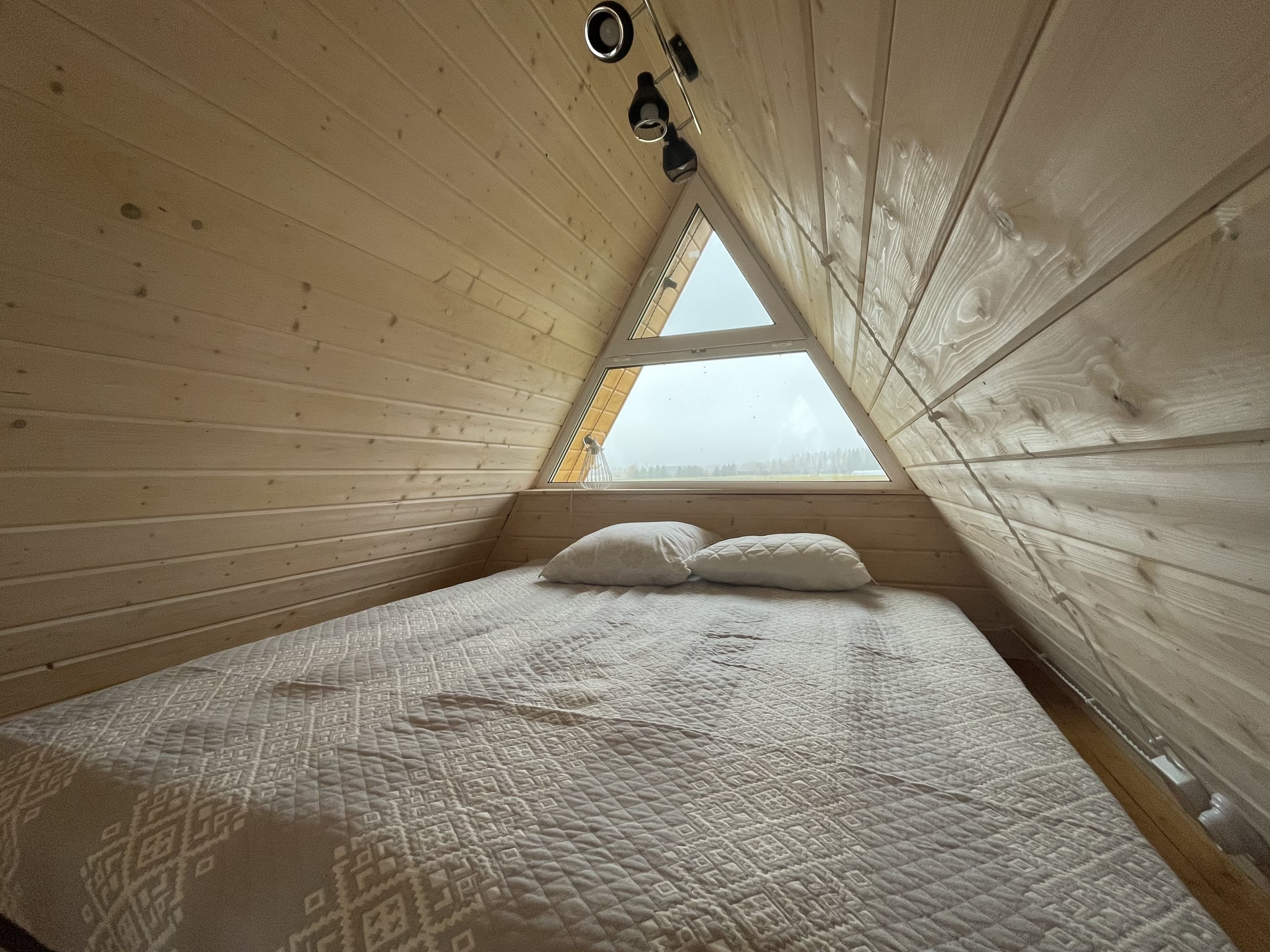 Фото В тишине