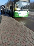 Prokat (Moskovskiy Avenue, 173), parada de transporte público