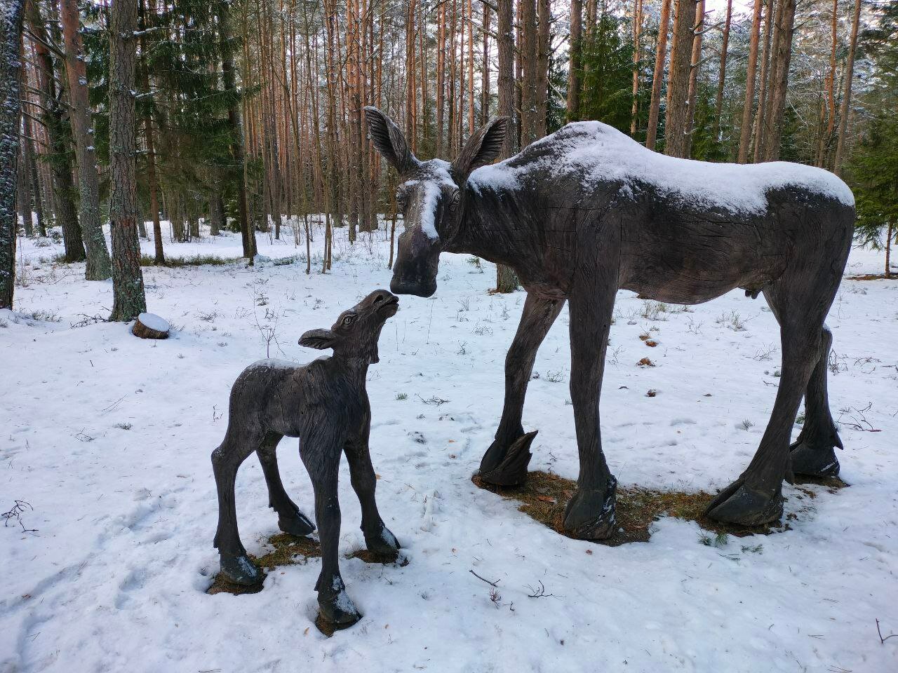 Фото Санаторий Нарочь, корпус Нарочь