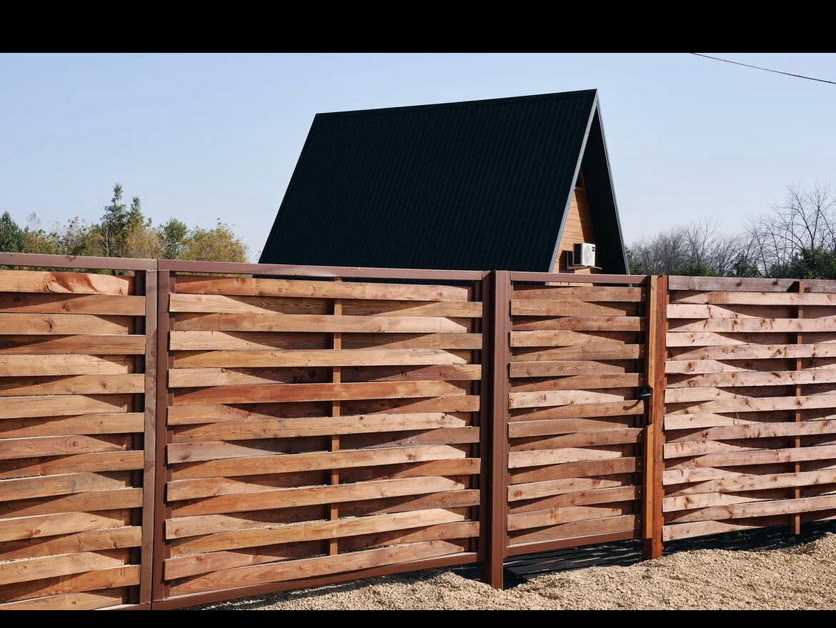 Фото Шишкин Афрейм