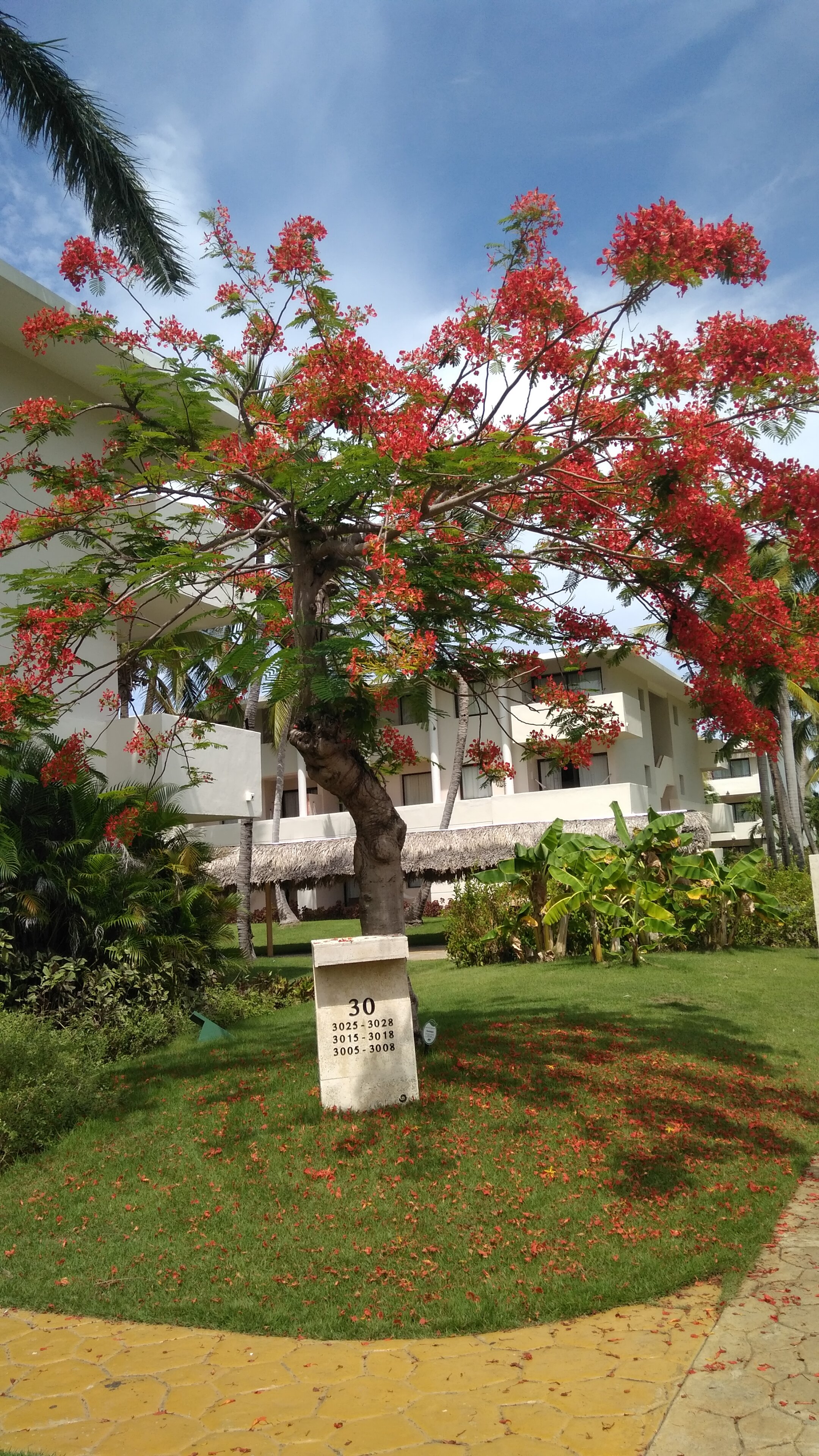 Фото Catalonia Royal Bavaro