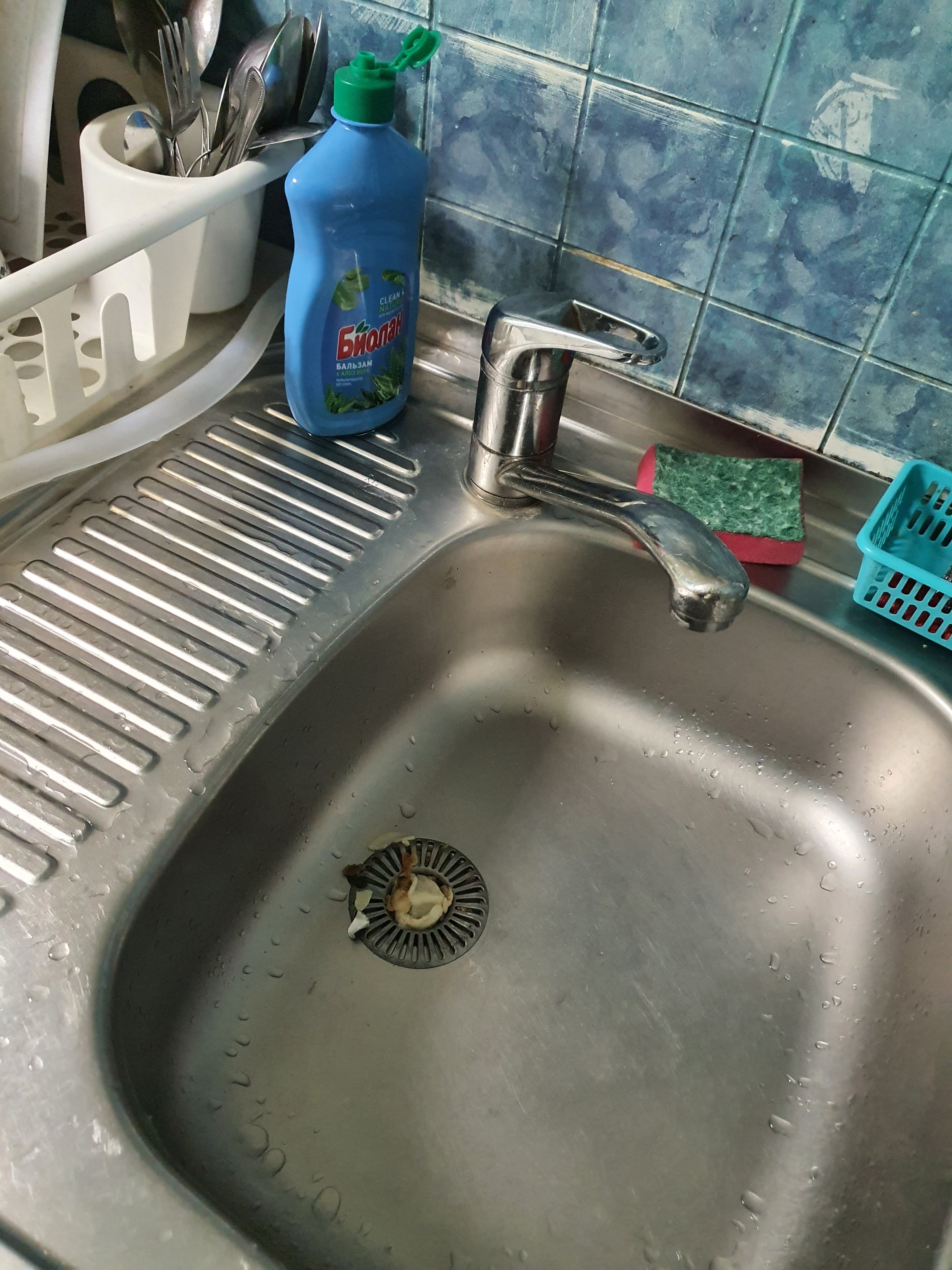 Фото Брусника Нагорная