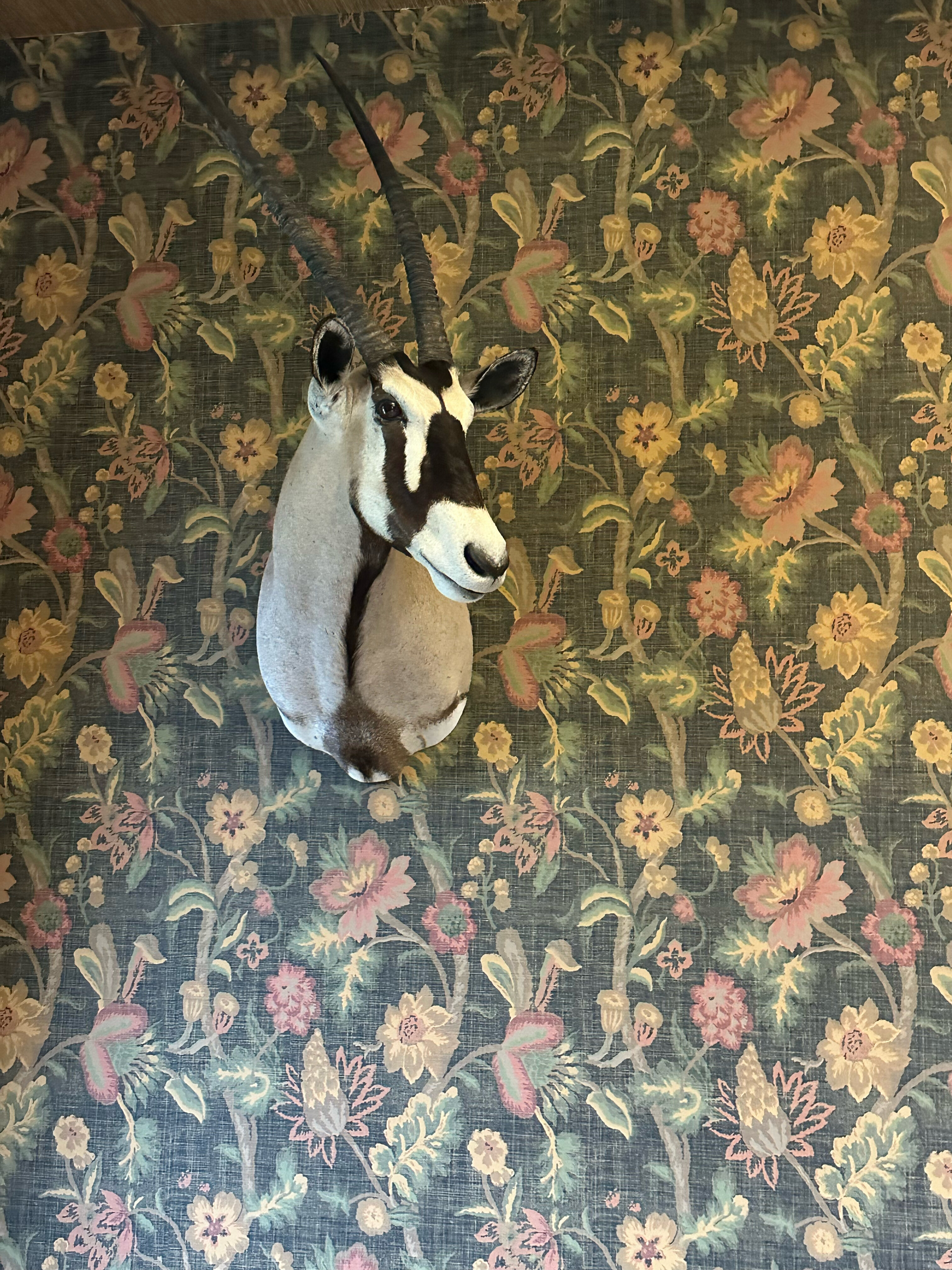 Фото Охотничьи сезоны