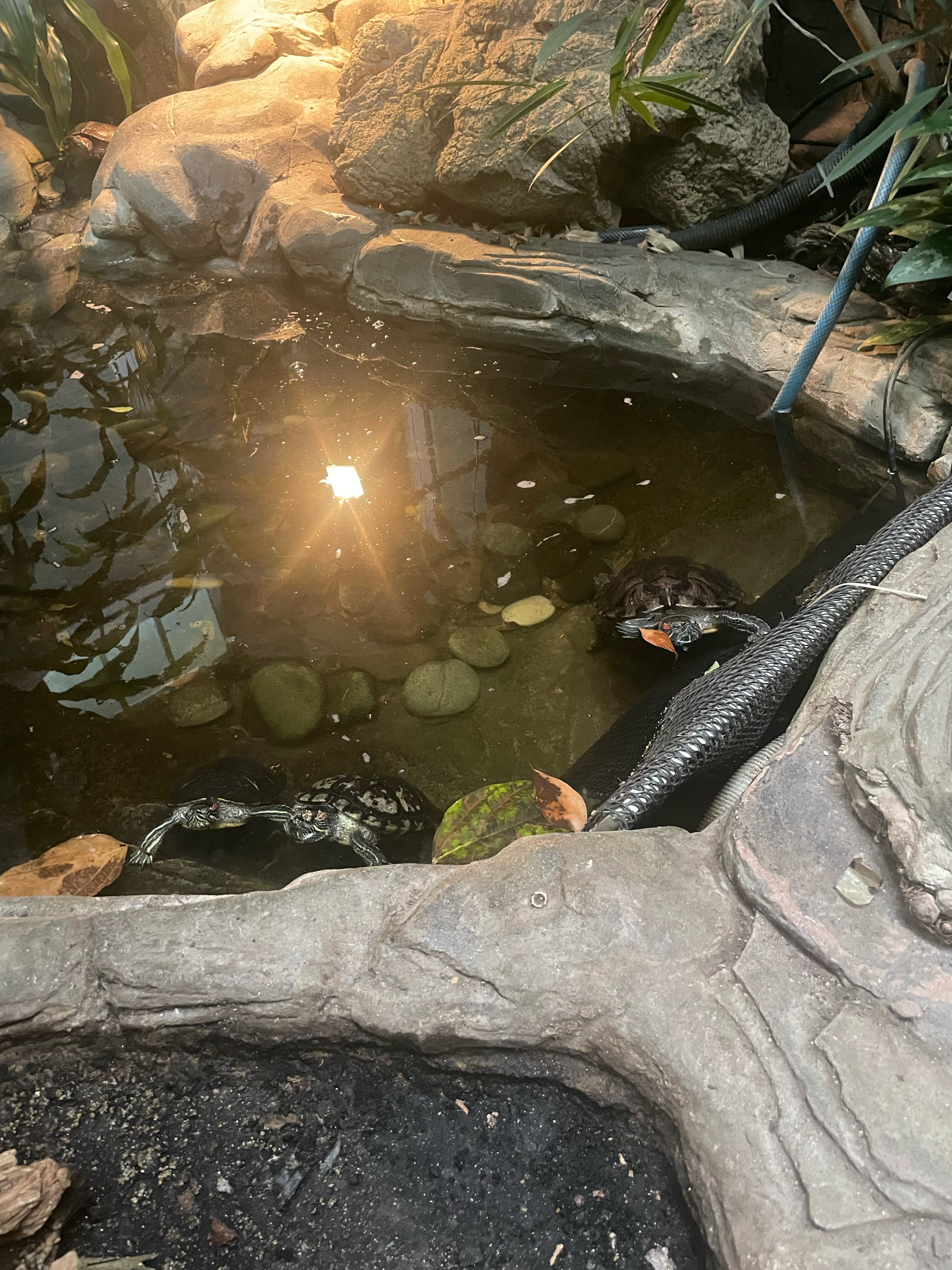 Фото ГОСТИНИЦА «СРЕТЕНСКАЯ»