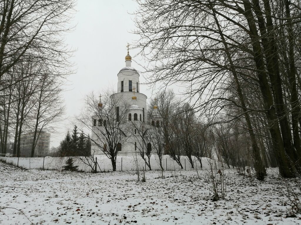 Православный храм Церковь Минской иконы Божией Матери, Минск, фото