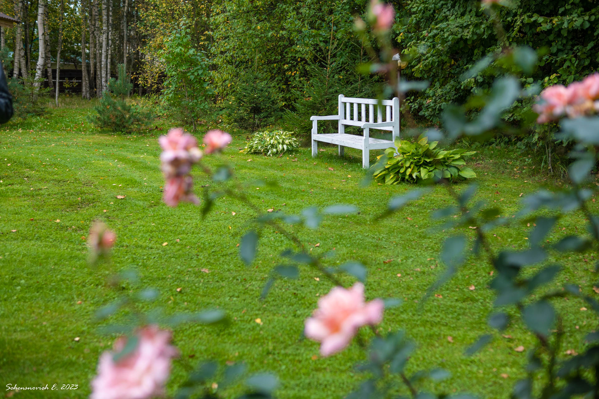 Фото Петра Творенье