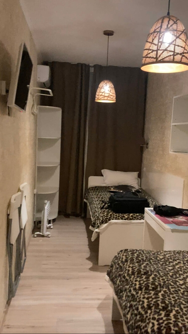 Фото Crocus Star