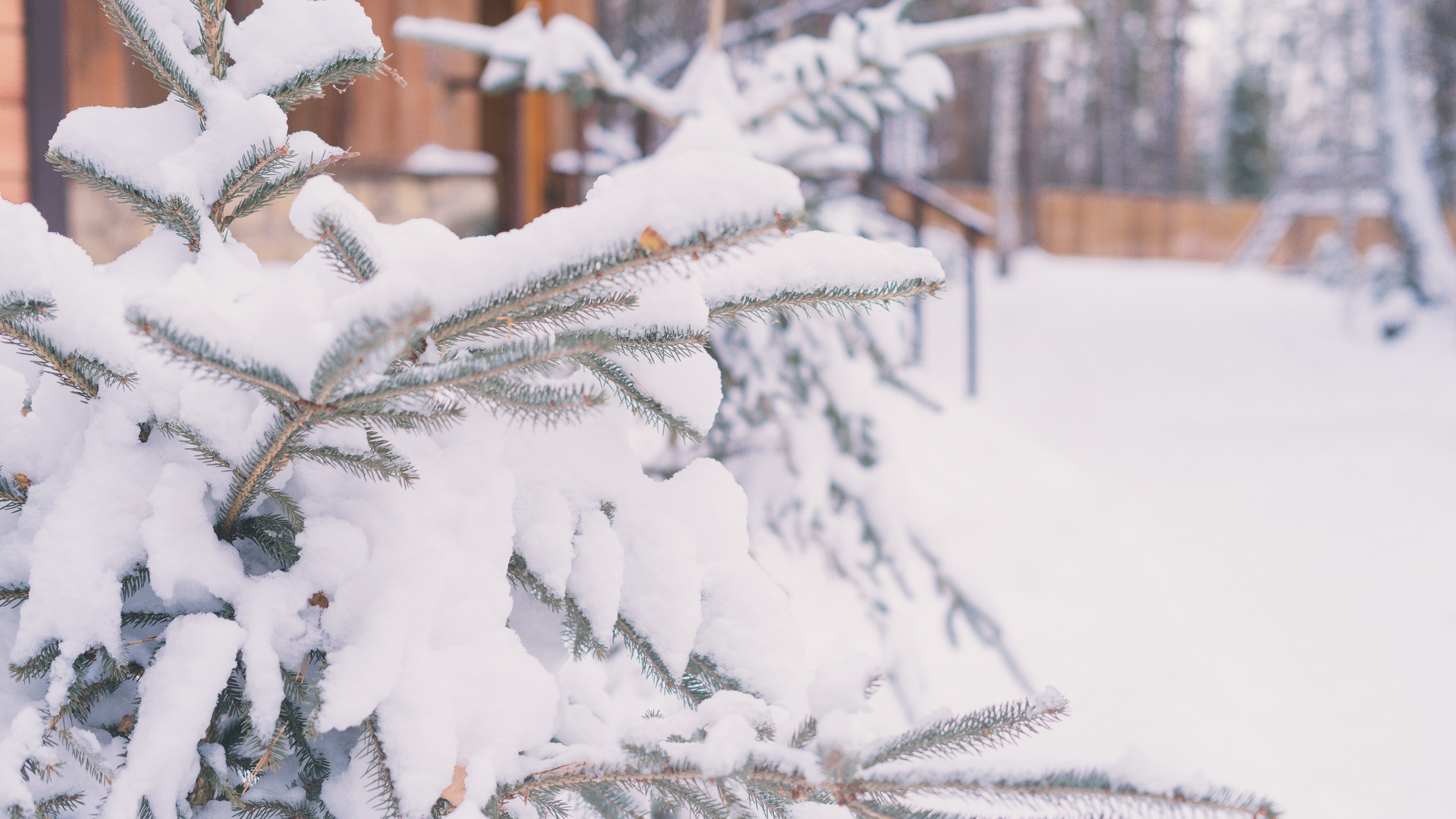 Фото Слобода