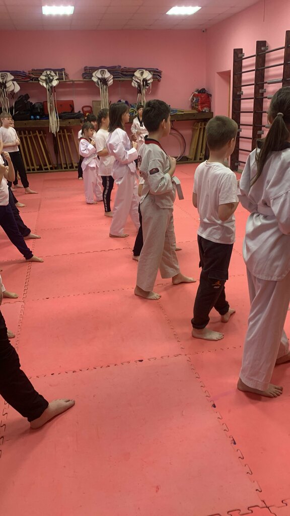 Asociación deportiva Федерация Тхэквондо, , foto
