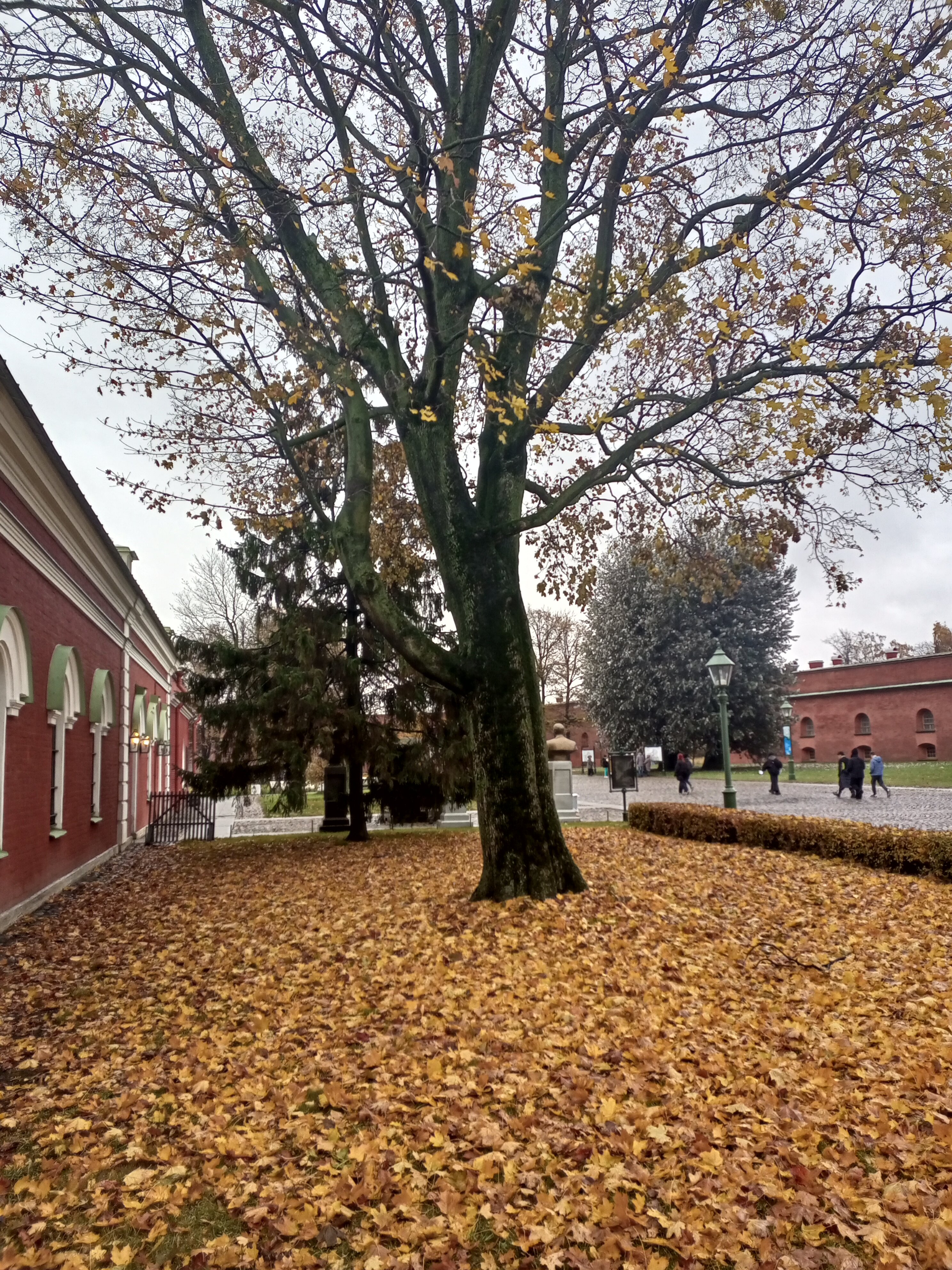 Фото Arlo Ломоносова