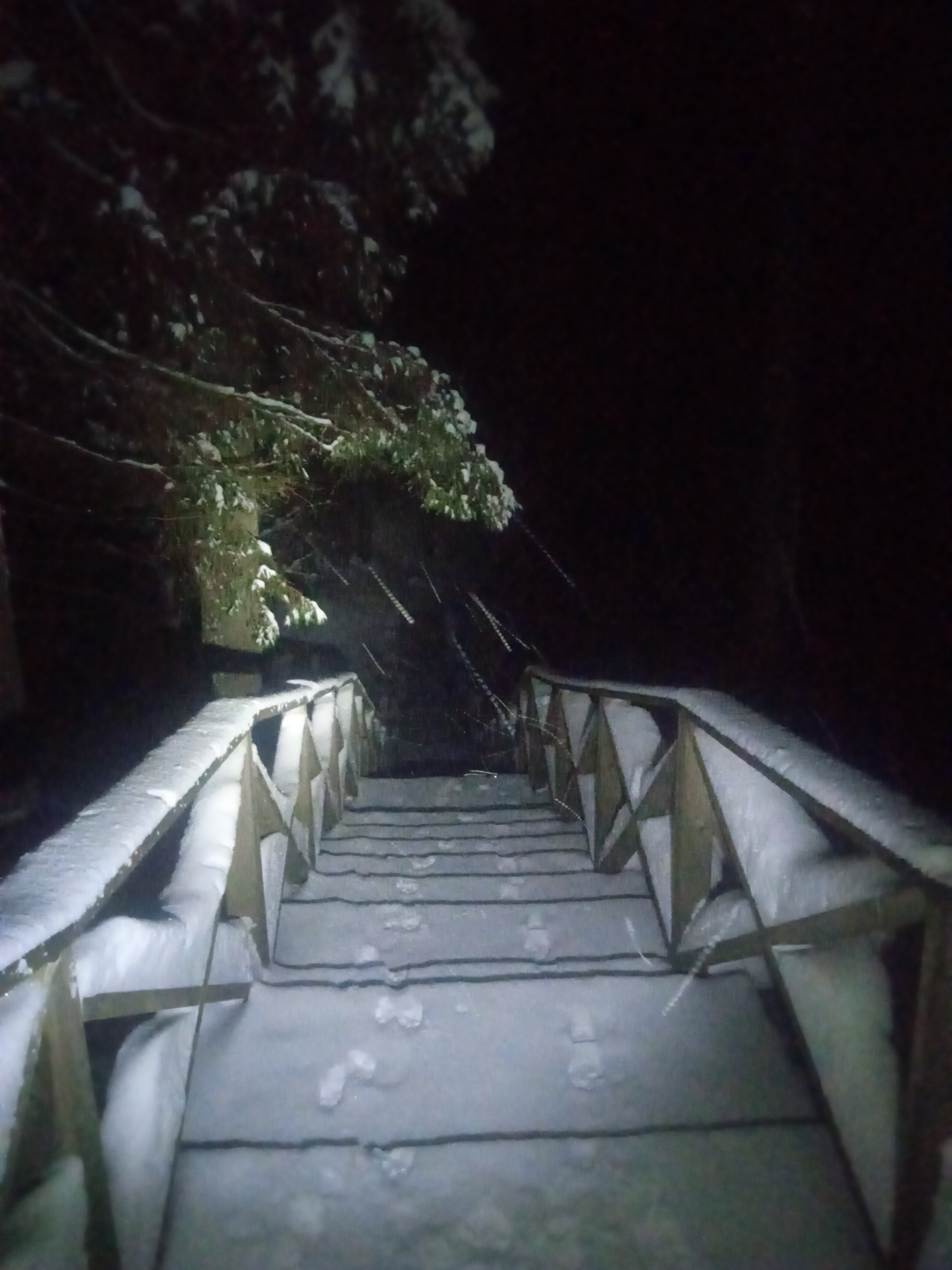 Фото Санаторий Щелыково