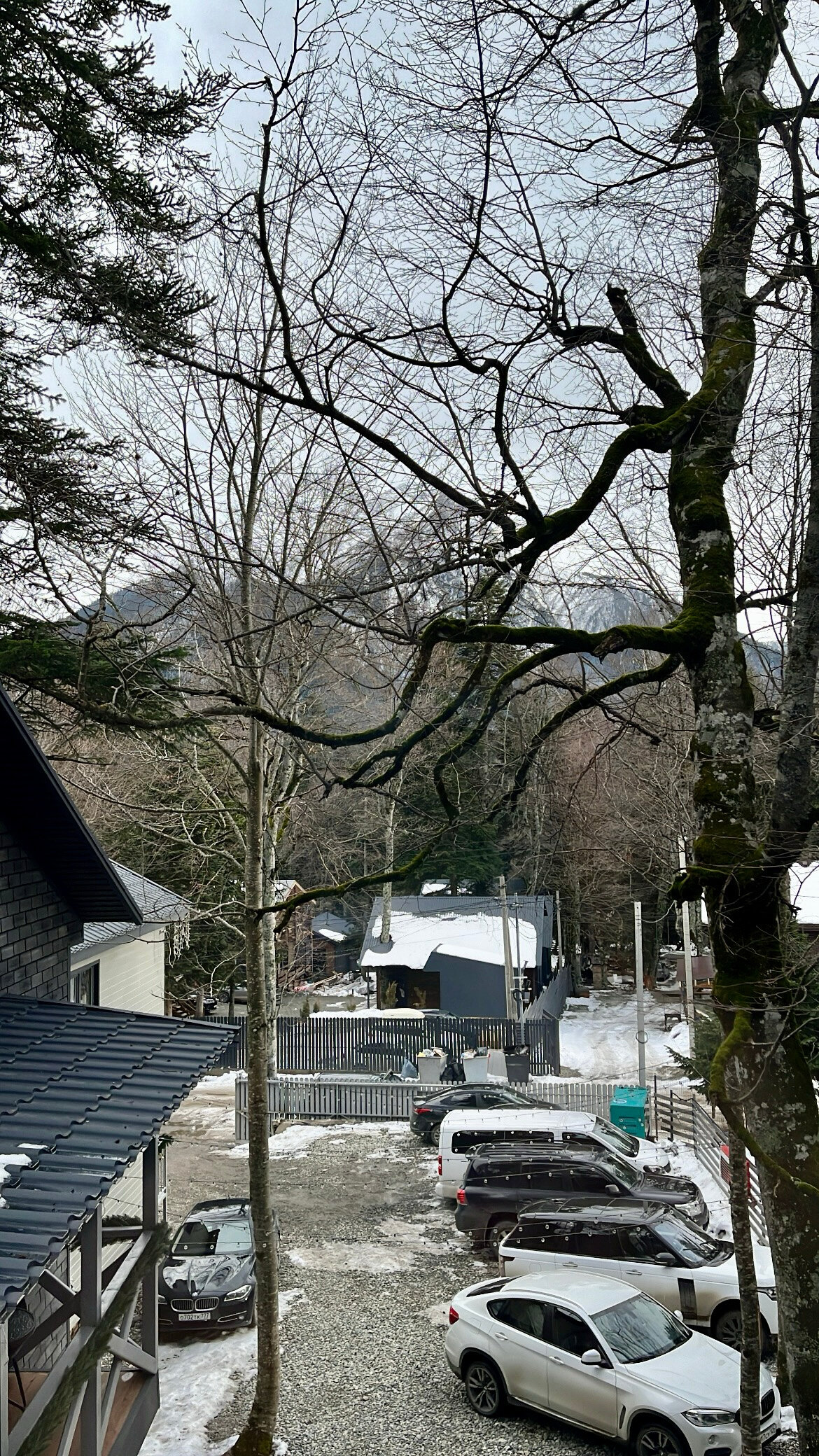 Фото Премьер Ski