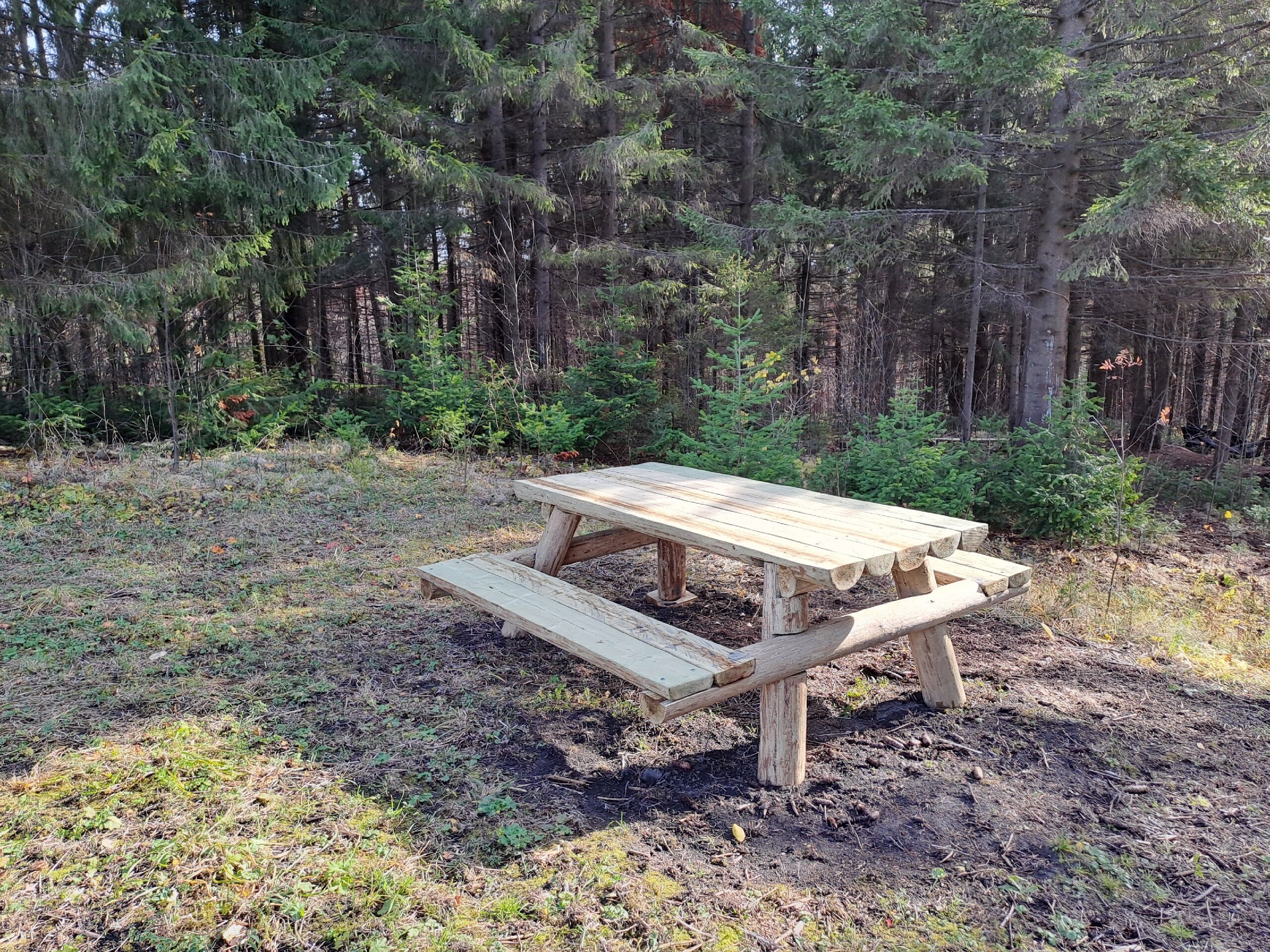 Фото Опушка