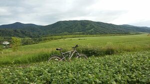 Гостевой дом Прозоровых (selo Makaryevka, Tsentralnaya ulitsa, 81), hotel