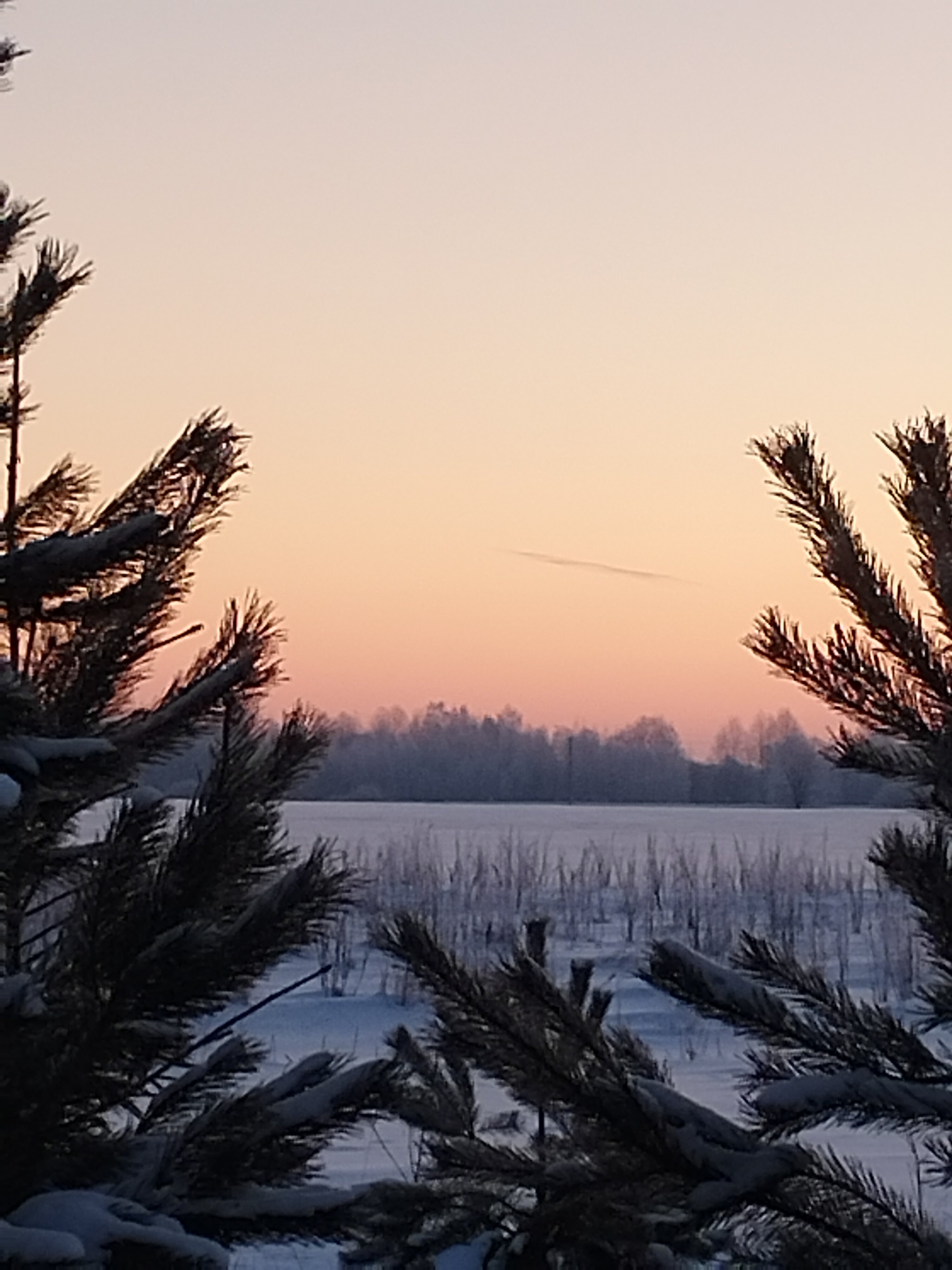 Фото На Вазузу