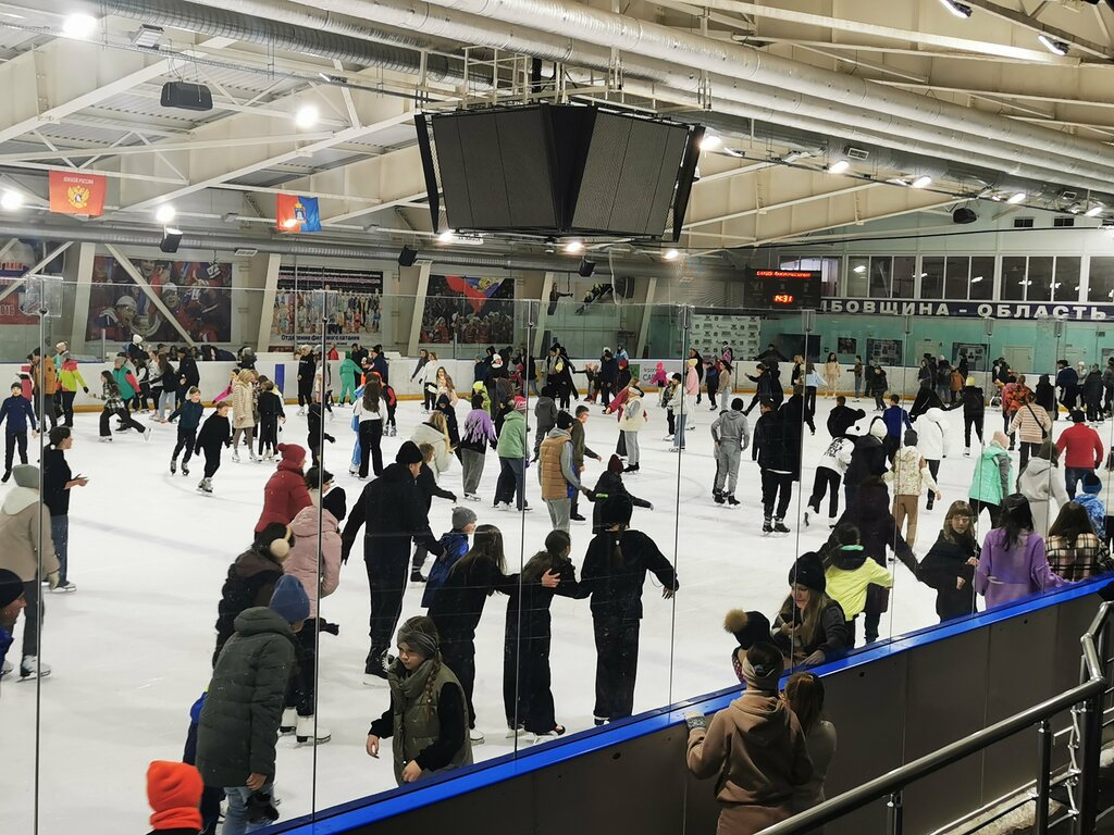 مركز رياضي Ledovaya arena v Raduzhnom ، ، صورة