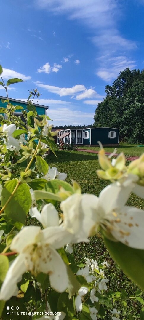 Фото Солнечный дом