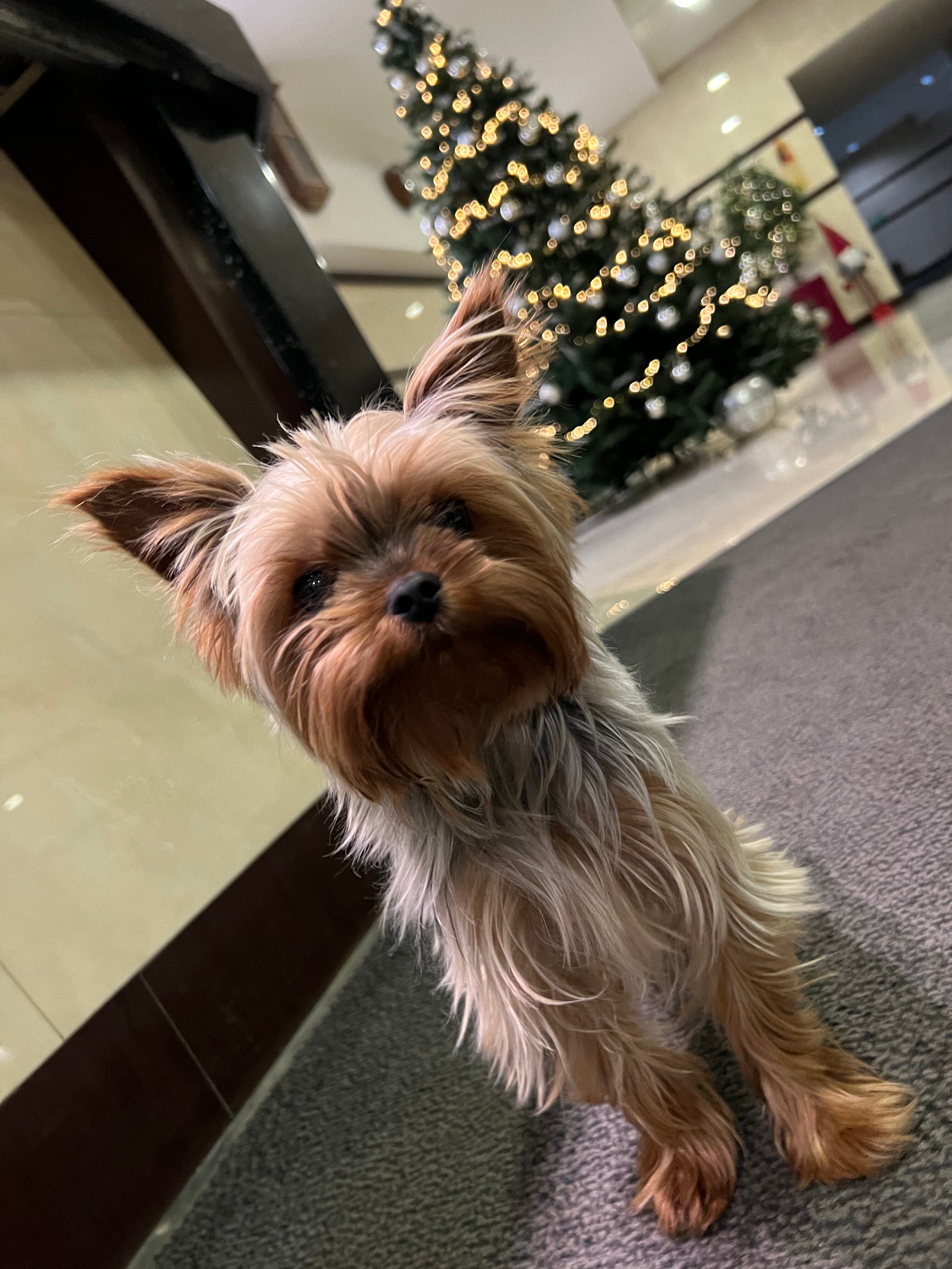 Фото Дом Отель Классик