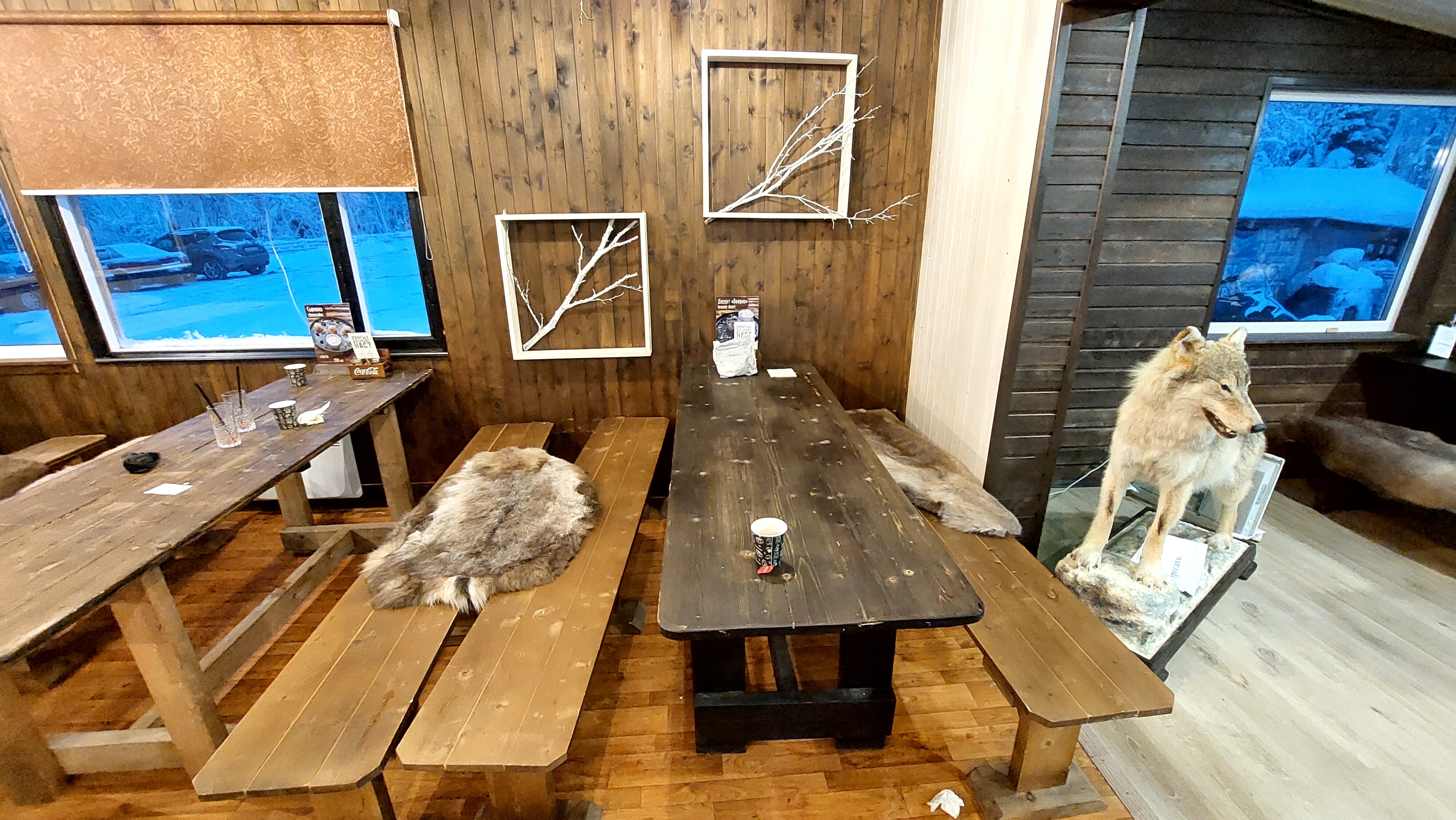 Фото Северное сияние