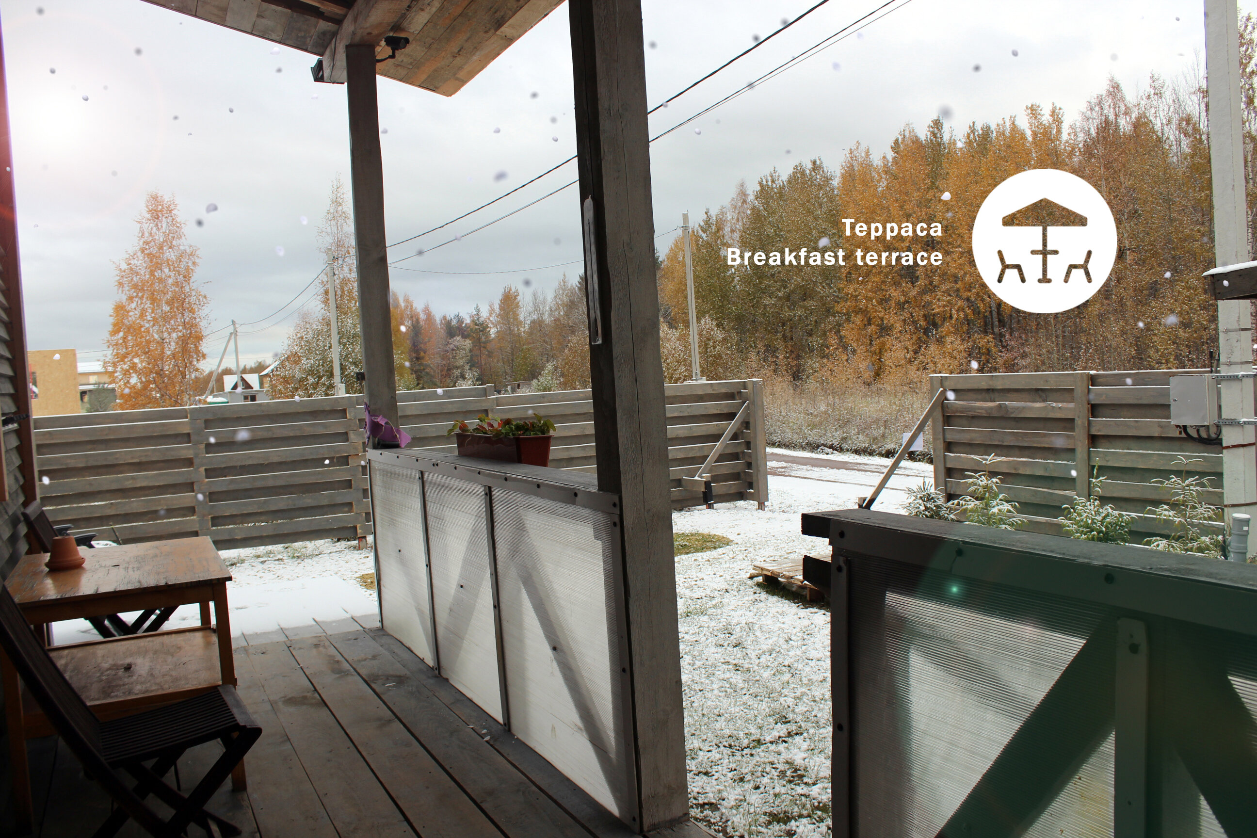 Фото Гнездо