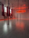 Elegant (Aleksandra Nevskogo Street, 13В), dance school