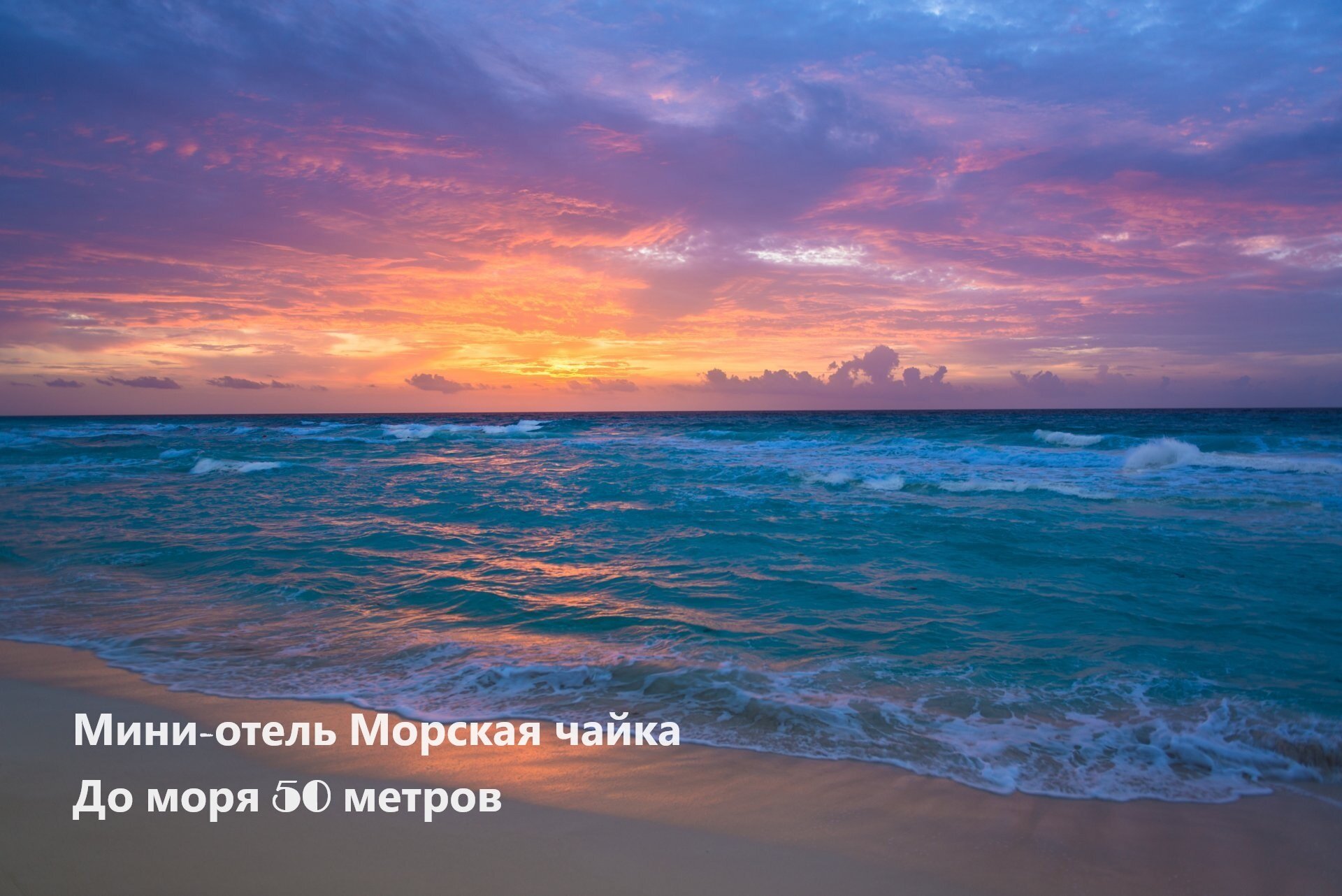Морская Чайка Ливингстон - 5