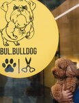 Bul. bulldog (3rd Khoroshyovskaya Street, 17А), pet salon