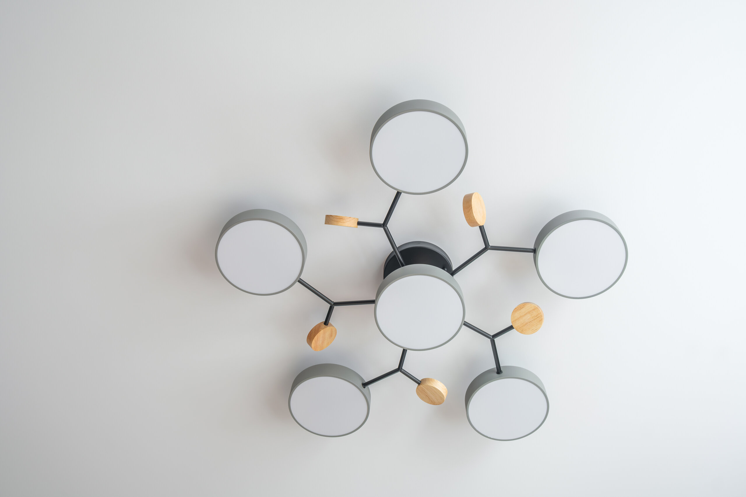 Фото Степаненков