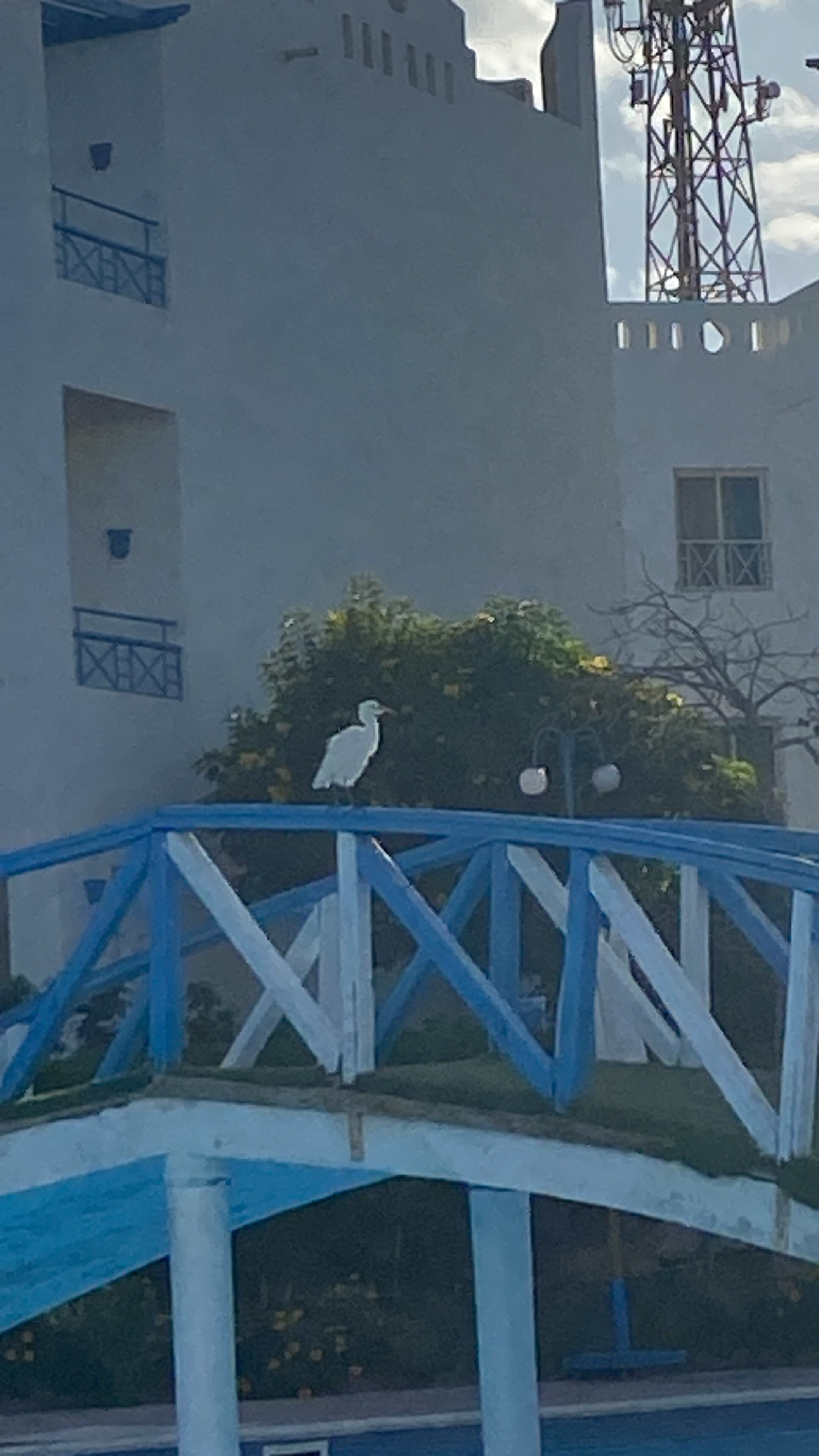 Фото Sharm Bride Resort