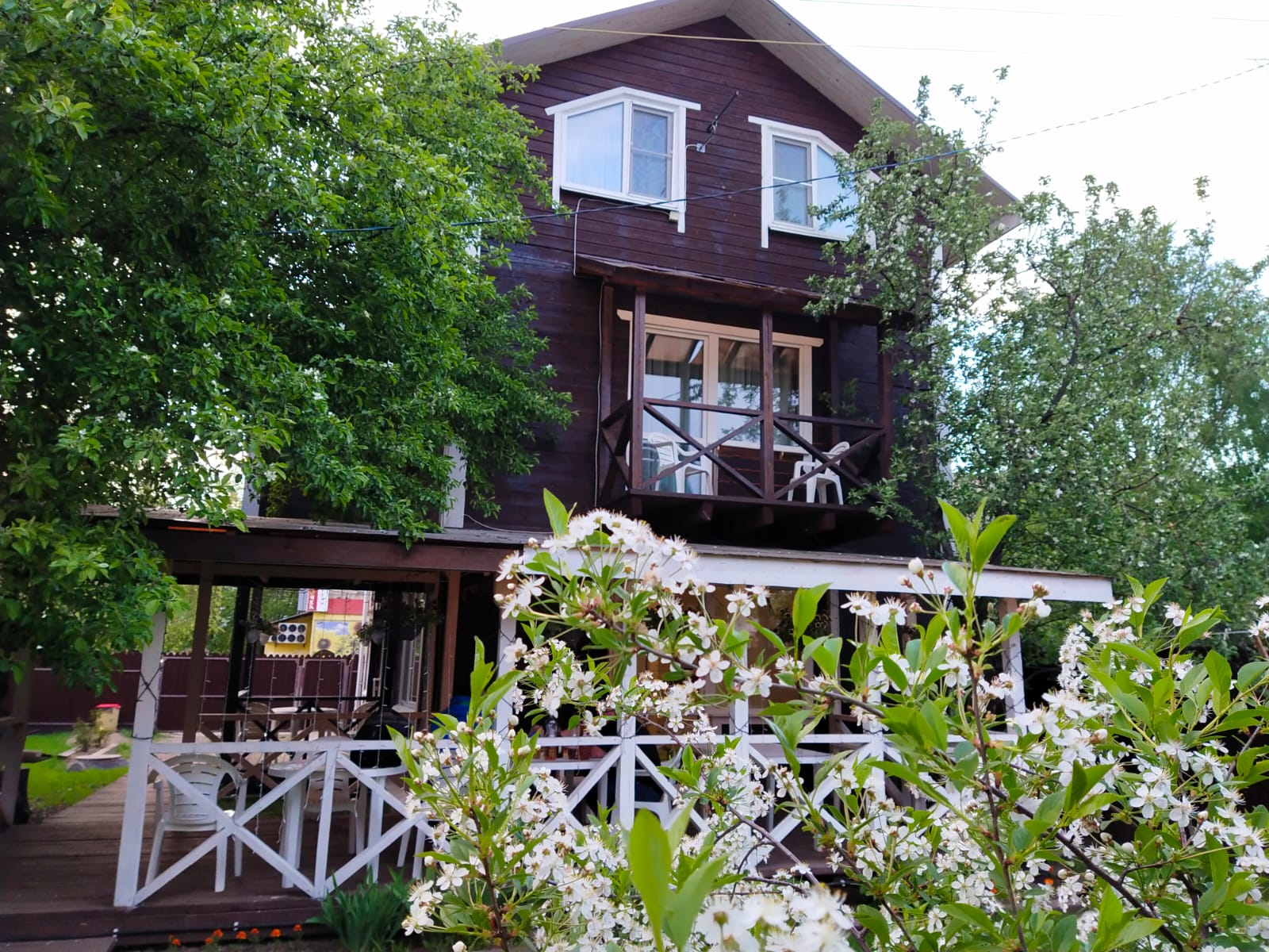 Фото АлтынЪ