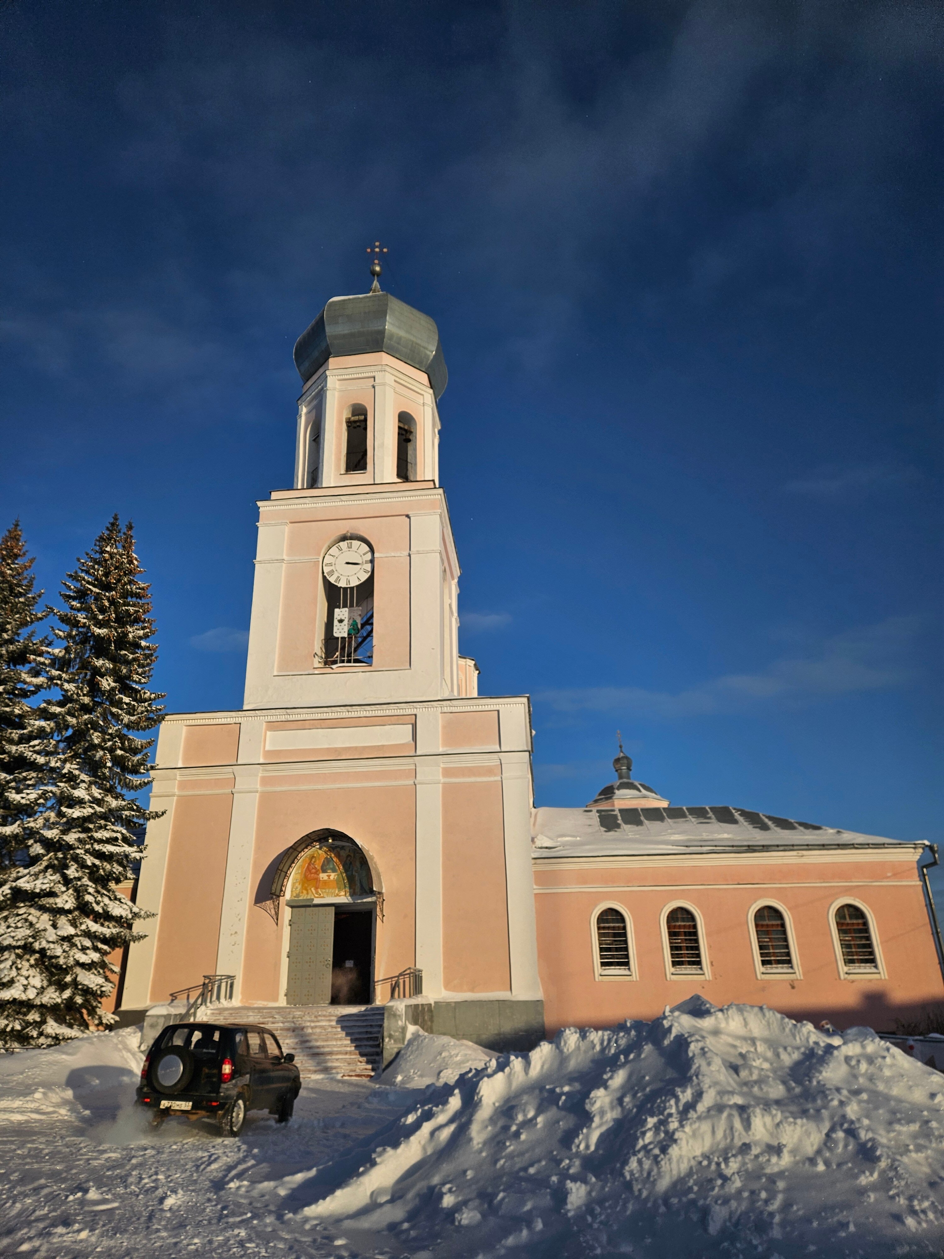 Фото Сорока