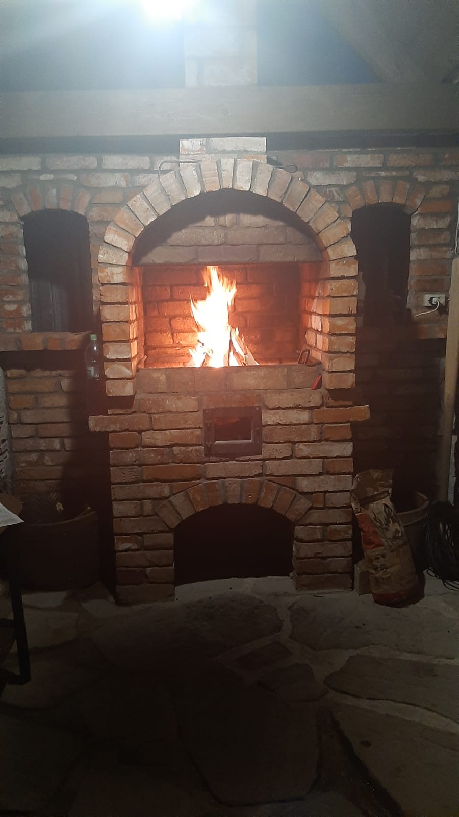 Фото Салангана