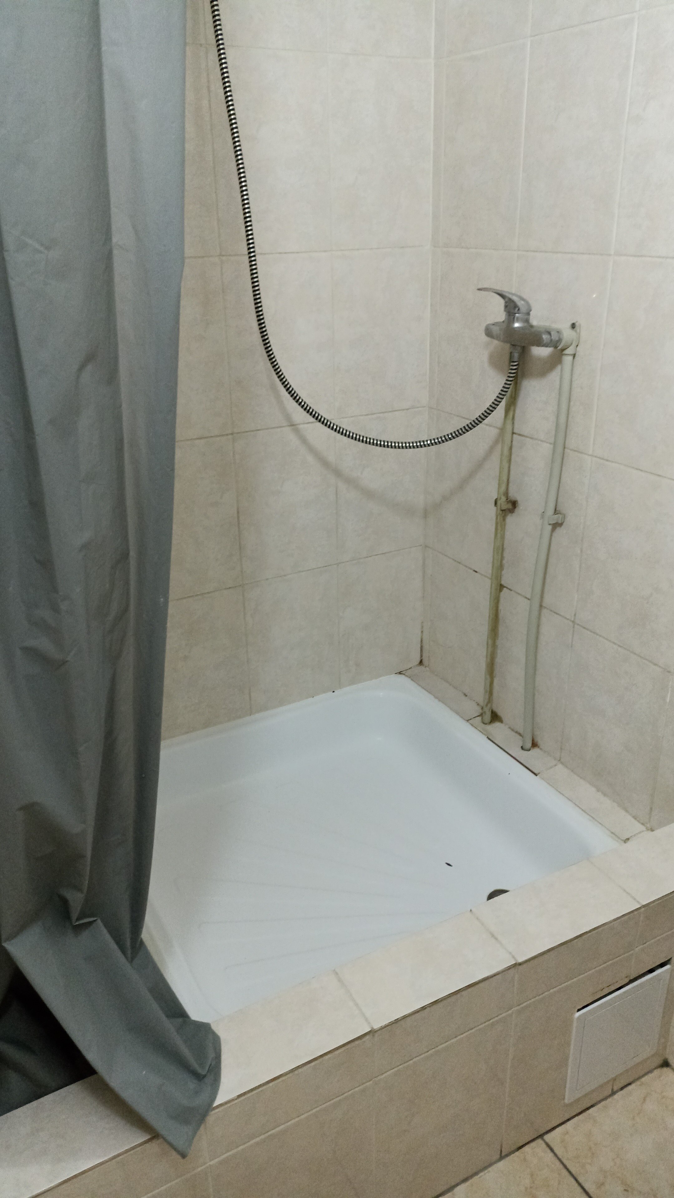 Фото Галант